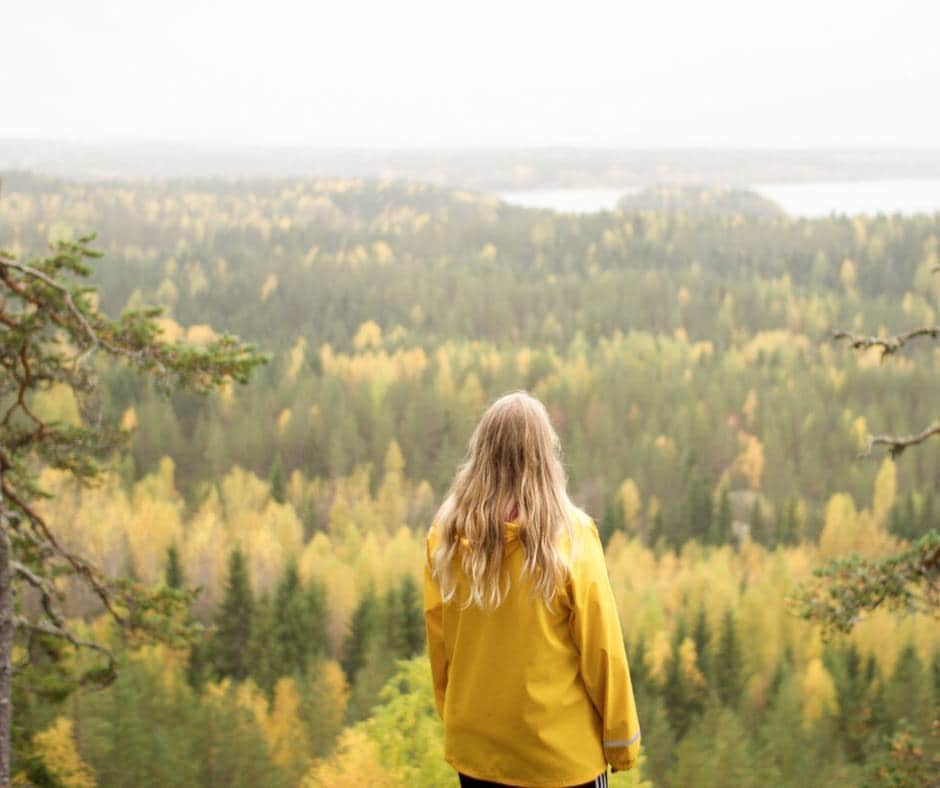 フィンランド政府観光局さんのインスタグラム写真 - (フィンランド政府観光局Instagram)「🌗🌟 秋分の日ですね。 🌞🌚 フィンランドは今紅葉の季節、キノコ狩りもまだ楽しめます。 🍂🍄また、これからだんだんと暗い時間が長くなるのでオーロラ観察にもよいシーズンです。   📸 : André Alexander, Harri Tarvainen, Emilia Hoisko, Karl Adami  #visitfinland #ourfinland #visitfinlandjp #finland #北欧旅行 #travelgram #フィンランド #フィンランド政府観光局 #北欧 #travel #instatravel #travel #travelgram #travelling #traveler #旅したくなるフォト #旅行 #旅 #海外旅行 #travelphotography #旅行大好き #旅行好き #旅スタグラム #旅好き #ヨーロッパ旅行 #旅に出たい #トラベル #秋 #紅葉 #紅葉狩り #キノコ狩り」9月23日 19時29分 - visitfinlandjapan