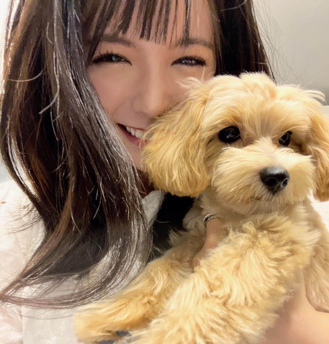 村山優香のインスタグラム：「かまってーかまってー時期」