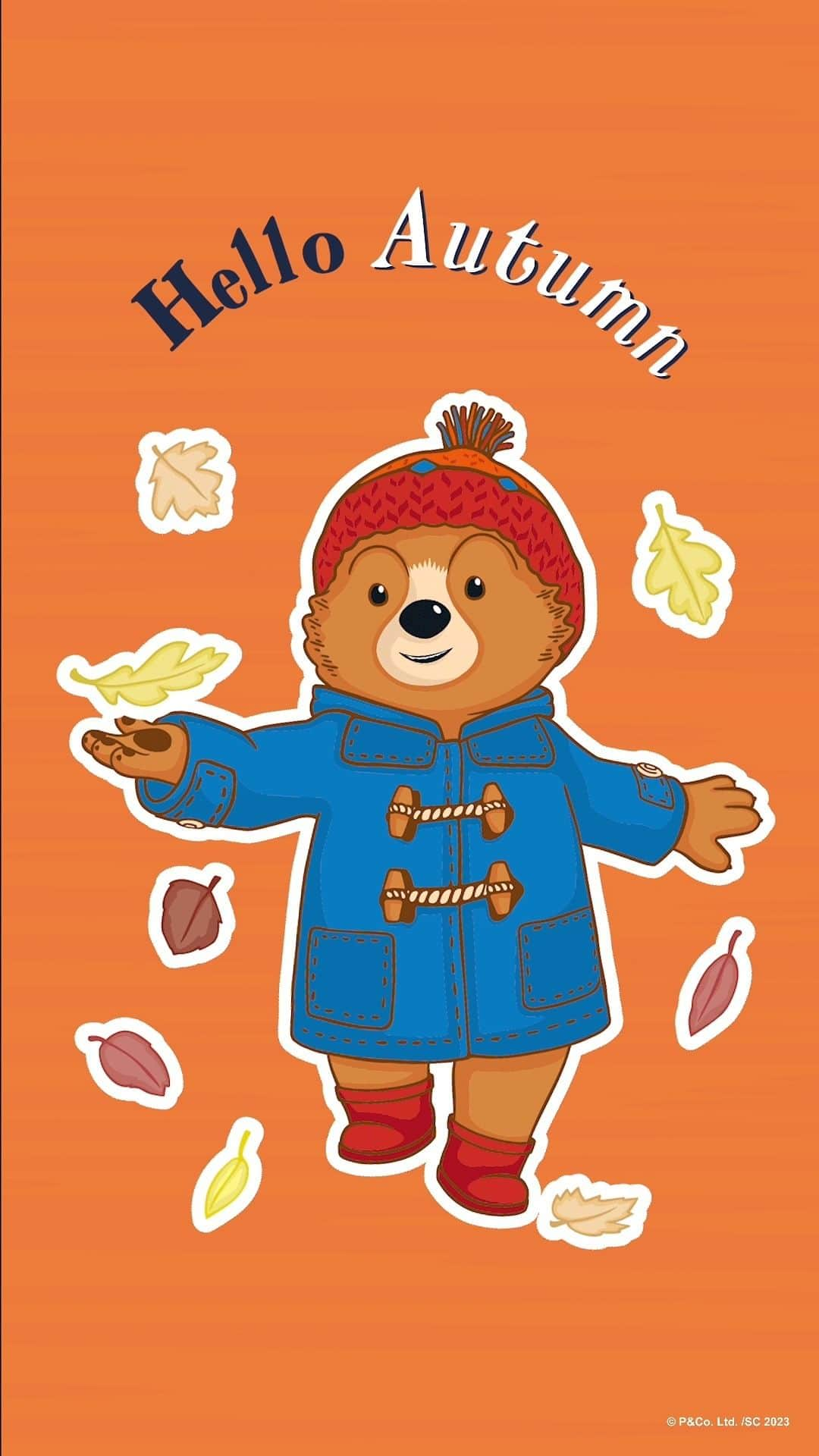 Paddington Bearのインスタグラム：「It's officially autumn 🍁🍂  What season is your favourite?」