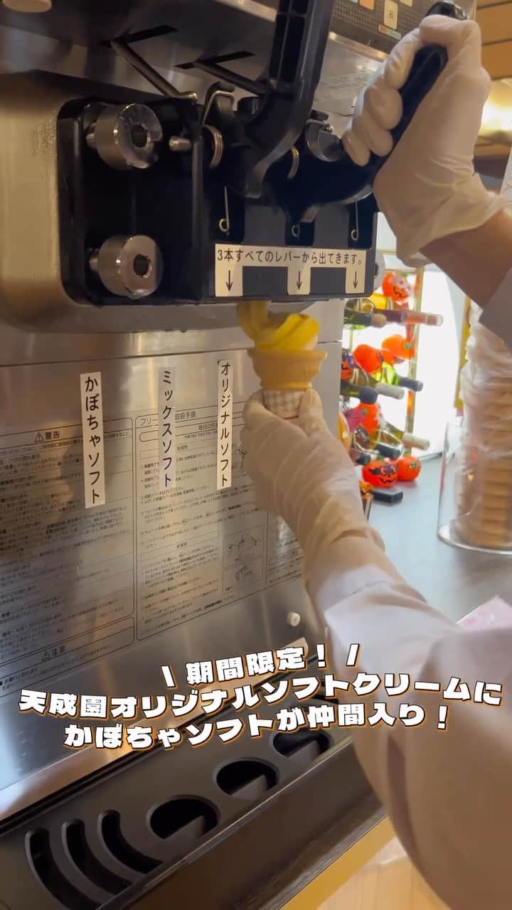 【公式】箱根湯本温泉 天成園のインスタグラム：「♨️  【〜10/31までの期間限定】  バイキングで大人気の 《天成園オリジナルソフトクリーム》に かぼちゃソフトが仲間入り！🎃🦇✨  ほんのり広がるかぼちゃの優しい香りと 滑らかな口溶け感がたまりません🧡  期間限定ラインナップ👻✨ 🎃かぼちゃソフト ‪🕸オリジナルソフトクリーム 🦇かぼちゃ×オリジナル ミックス  天成園のオリジナルソフトクリームと かぼちゃソフトのミックスが贅沢でオススメです🧡  自分で作れる＆食べ放題✨ですので 心ゆくまでご堪能くださいね🌙🐺  #箱根 #箱根湯本 #天成園 #箱根湯本温泉 #天成園箱根湯本 #温泉 #本格温泉 #箱根ホテル #箱根旅館 #箱根旅行 #旅行 #個室 #貸し切り #レンタル浴衣 #露天風呂 #日本庭園 #神社 #滝 #日帰り温泉 #hakone #halloween #ソフトクリーム #アイスクリーム #かぼちゃレシピ #かぼちゃスイーツ #かぼちゃソフト #🎃」