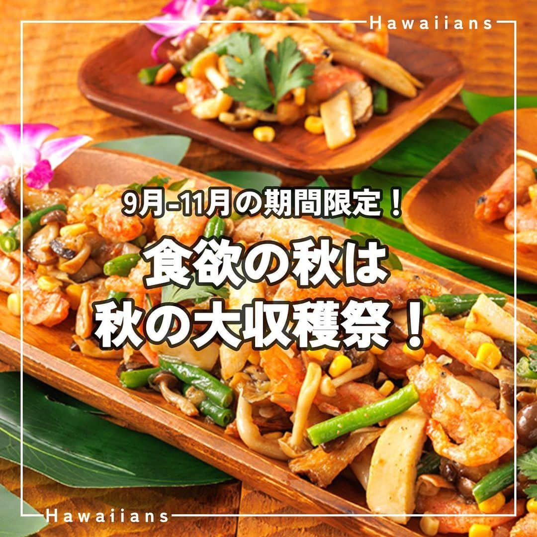 スパリゾートハワイアンズのインスタグラム：「ALOHA～🍁  すっかり秋らしくなってきましたね～ 皆さん、食欲の秋楽しんでいますか～？🍠🌰  ハワイアンズでは / 9-11月宿泊者限定 \ 秋の大収穫祭を開催中！  1年中で最も食材が満ち溢れる季節。 そんな旬な食材を生かした数々のグルメ料理をたっくさんご用意しております！ みなさんは、食欲の秋と言えば何を思い浮かべますか？👀🍂  #スパリゾートハワイアンズ  #sparesorthawaiians #ハワイアンズ #hawaiians #プール #プールも温泉 #スパ #福島県 #福島観光 #福島旅行 #いわき #iwaki #家族旅行 #温泉旅行 #食欲の秋 #食欲の秋🍁 #秋グルメ #秋ごはん #秋の大収穫祭 #グルメフェア #ホテルグルメ #食べるの大好き #食べることが幸せ #実りの秋 #秋の味覚 #旬 #旬の食材 #旬の野菜 #旬の野菜を食べよう #旬の味覚」