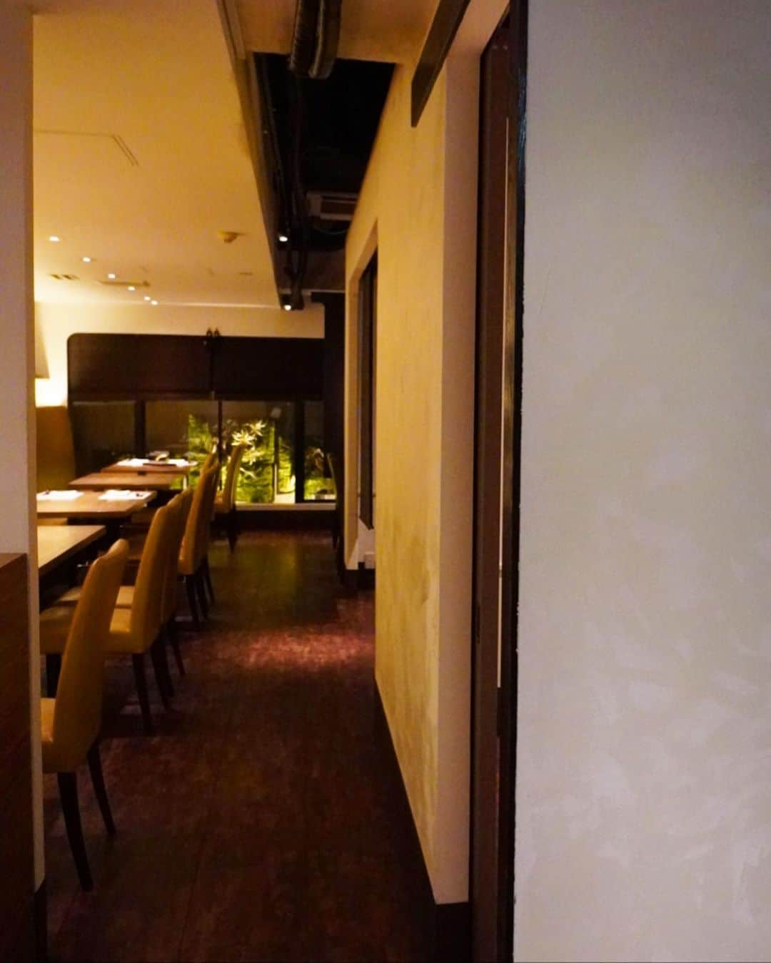 三好ユウさんのインスタグラム写真 - (三好ユウInstagram)「金蔦六本木店へ🍲  @tokyo.kintsuta  I went to the restaurant of the shabu-shabu in Roppongi. ⁡ 体力勝負な出張が待ち構えてる為お肉を投入🍖✈️ お鍋の季節到来ですね✨2回目の来訪です。 ⁡  一番人気の博多炊き肉鍋 九州産黒毛和牛三角×鹿児島県産黒豚「黒宝豚」 コース6 品を頂きました。 ⁡ メインの博多 炊き肉鍋は牛テールスープに 肉や野菜をしゃぶしゃぶの様に火を通して食べるお鍋。 ⁡ メニューも素材に拘り、 旬の食材を一番良いカタチで調理しているそう。 どれも本当に美味しい❤️ ⁡  バースデープレートも出して頂き 遠隔でちまどの弟さんの誕生日をお祝いしました🎂笑 ⁡ ⁡ ⚫︎生彩八寸《季節の前菜》 ⚫︎向付 ⚫︎炊き肉鍋 ⚫︎御食事《きねうち麺》 ⚫︎デザートプレート ⚫︎矢部和紅茶 ⁡ 内容、お味の割に価格がリーズナブル。 落ち着いた空間でお誕生日や女子会 ビジネス等多様な目的にぴったりかと思います。 ⁡  個室完備。しかも六本木駅30秒✨ 是非足を運んでみてくださいね☺️ ⁡ ⁡ #PR#kintsuta #金蔦 #金蔦六本木店 #しゃぶしゃぶ #六本木グルメ #六本木ディナー#六本木焼肉  #記念日ディナー#グルメ好きな人と繋がりたい #都内記念日#日本美食 #happybirthday l#tokyodinner#roppongi #東京美食⁡#旅游#여행스냅」9月23日 18時21分 - yuu_5240