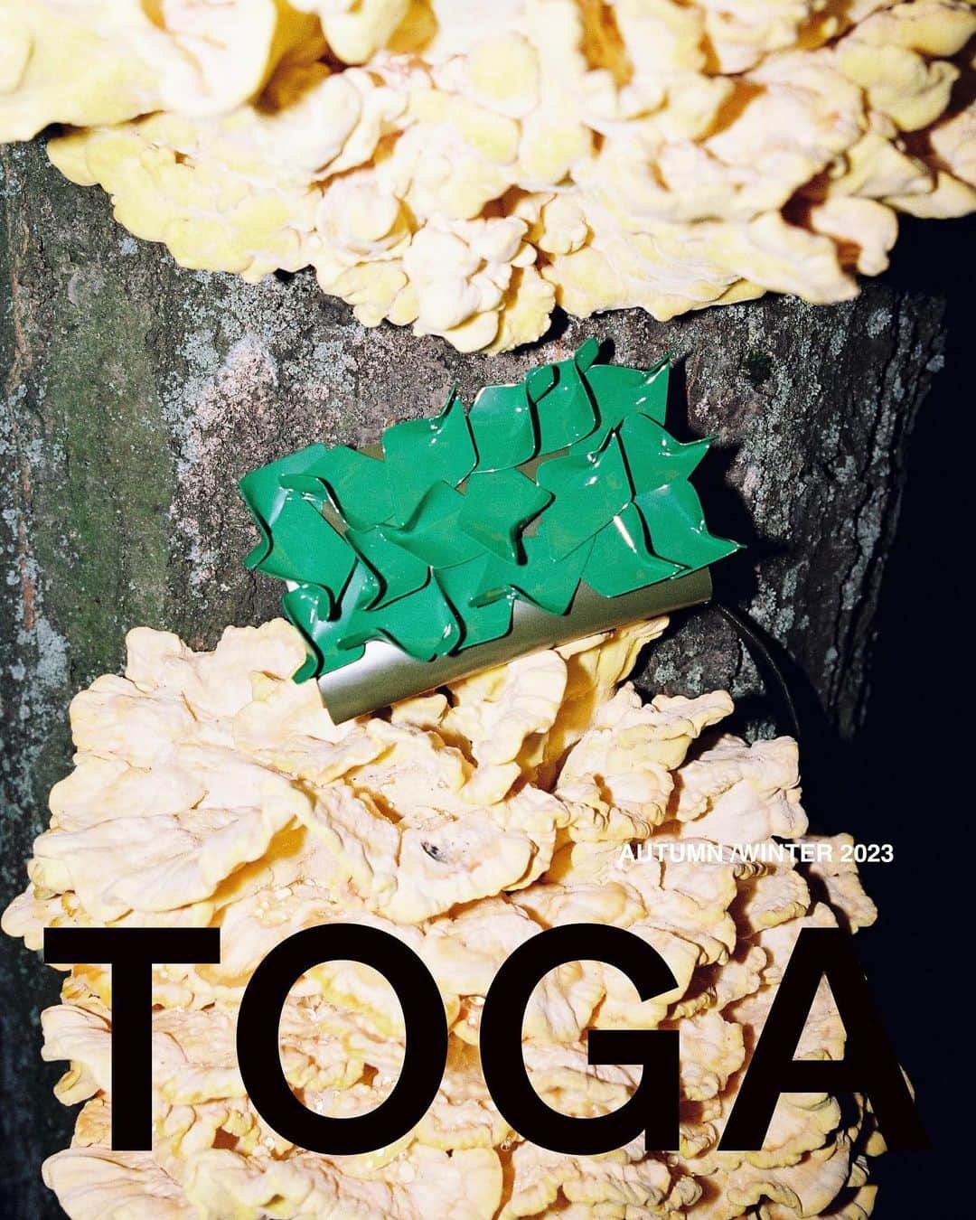 のインスタグラム：「TOGA AW23 items available at TOGA STORES and TOGA ONLINE STORE.  https://store.toga.jp @togaarchives_online   Photo by : @lukasz_wierzbowski   #toga #togaarchives」