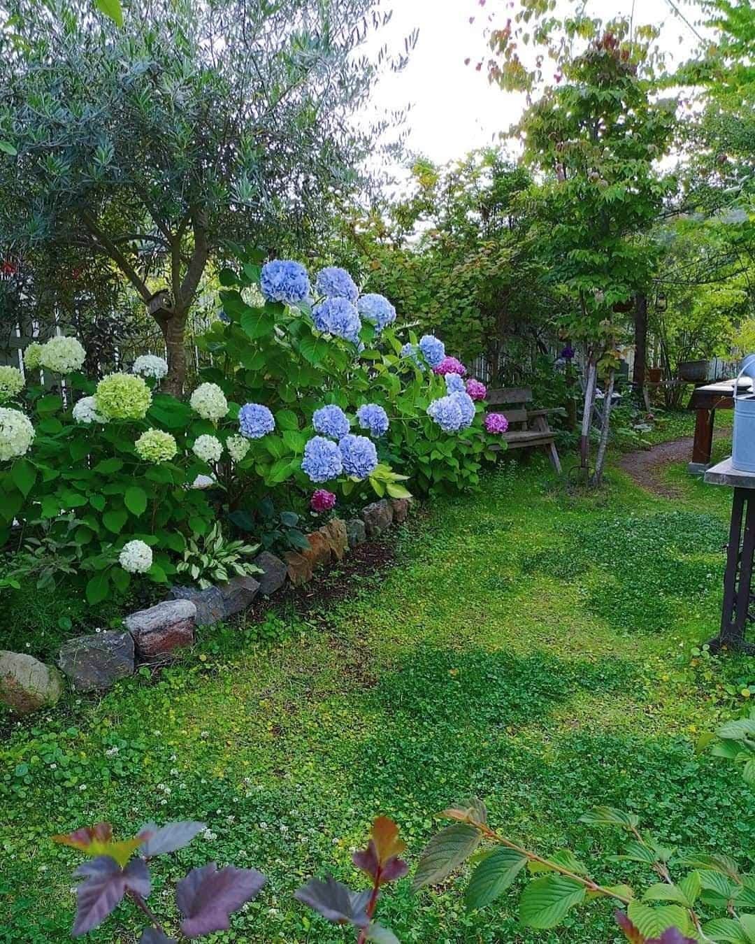 ムクリ［mukuri］さんのインスタグラム写真 - (ムクリ［mukuri］Instagram)「夫婦2人で作り上げた癒しの空間〜四季折々の変化を庭で楽しむ  こどもの頃から 「いつか森の中で暮らしたい」 という願望があったshoさん。  理想に近づくために 全てご夫婦2人で作り上げたというお庭は圧巻です。  読んでいると、 なぜshoさんのお庭の植物たちが 生き生きと美しいのかが、 わかる気がしました。  「庭が与えてくれる」 という考え方、共感しました。  おススメの木やお花から、 お庭の中のお気に入りの場所についてまで お話してくださっていますので、 ぜひご覧になってくださいね。  –––––––––––––––––– ムクリ公式アカウントでは くらしの中にある"好き"や"コダワリ"を毎日お届け。  インテリア、整理収納から家づくりなど 日常で参考になる情報から サラッと読める短編コラムまで ご紹介していますのでフォローしてぜひご覧ください。 ▶︎ @mukuri_official ・  「 #ムクリ 」のタグもいつも楽しく拝見しています☺️  オリジナルブランドは @daily_mukuri  くらしの中にあったらいいいな、 そんな商品を企画・制作、集めています。 ––––––––––––––––––  #庭 #中庭 #緑のある暮らし #ガーデン #ガーデニング #ナチュラルガーデン #お庭 #庭作り #花のある暮らし #植物のある暮らし #植物 #季節を楽しむ #雑木の庭 #庭のある暮らし #garden #gardening #新築 #新築一戸建て #マイホーム計画 #マイホーム #注文住宅 #家 #おうち #家づくり # おうち時間 #くらしの編集 #暮らしを楽しむ #丁寧な暮らし #日々の暮らし #ムクリ」9月23日 12時05分 - mukuri_official
