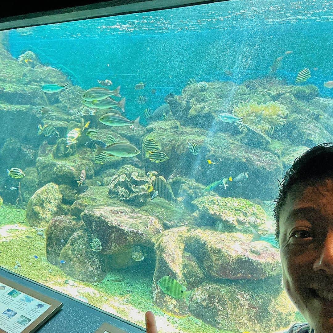 やのぱん（矢野ひろし）のインスタグラム：「水族館*\(^o^)/*  めちゃくちゃ良い♪♪  #水族館　#ロケ」