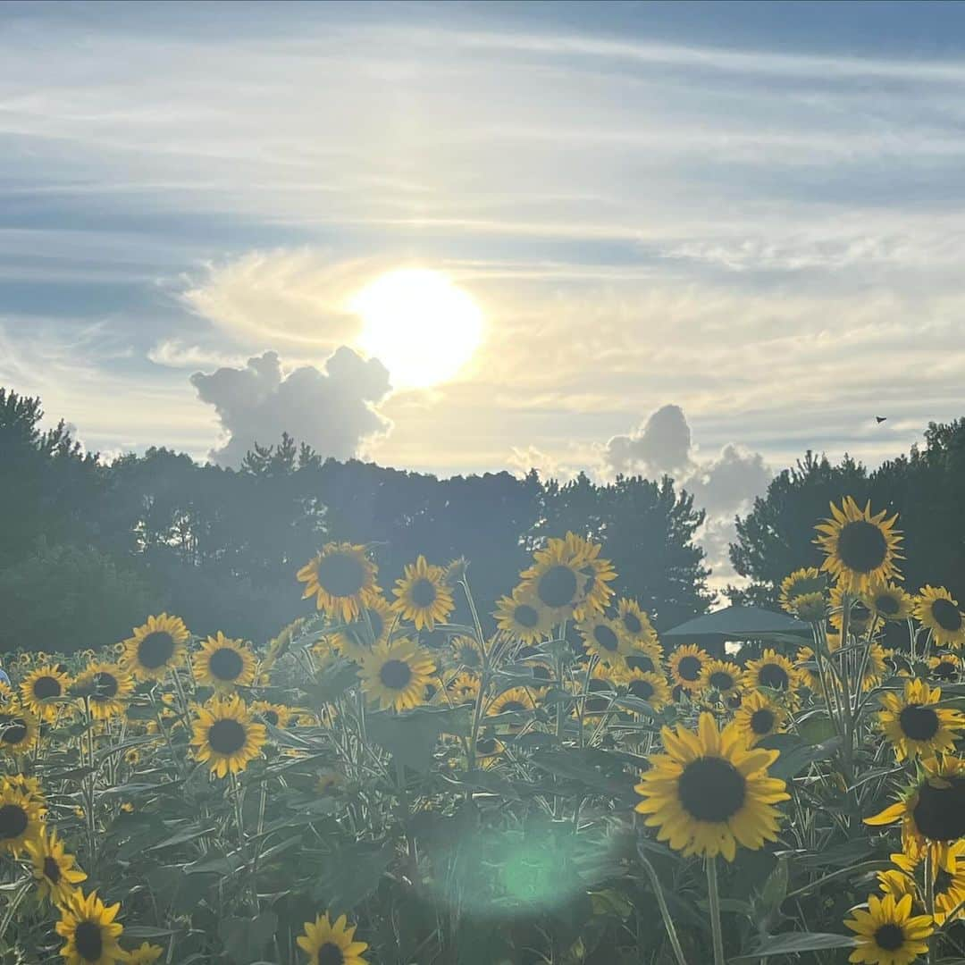 北村太樹さんのインスタグラム写真 - (北村太樹Instagram)「さらば~夏☀️~ 今年の秋は何すっかなーー 山でも登ろうか🏔️」9月23日 12時09分 - taiki_.kitamura