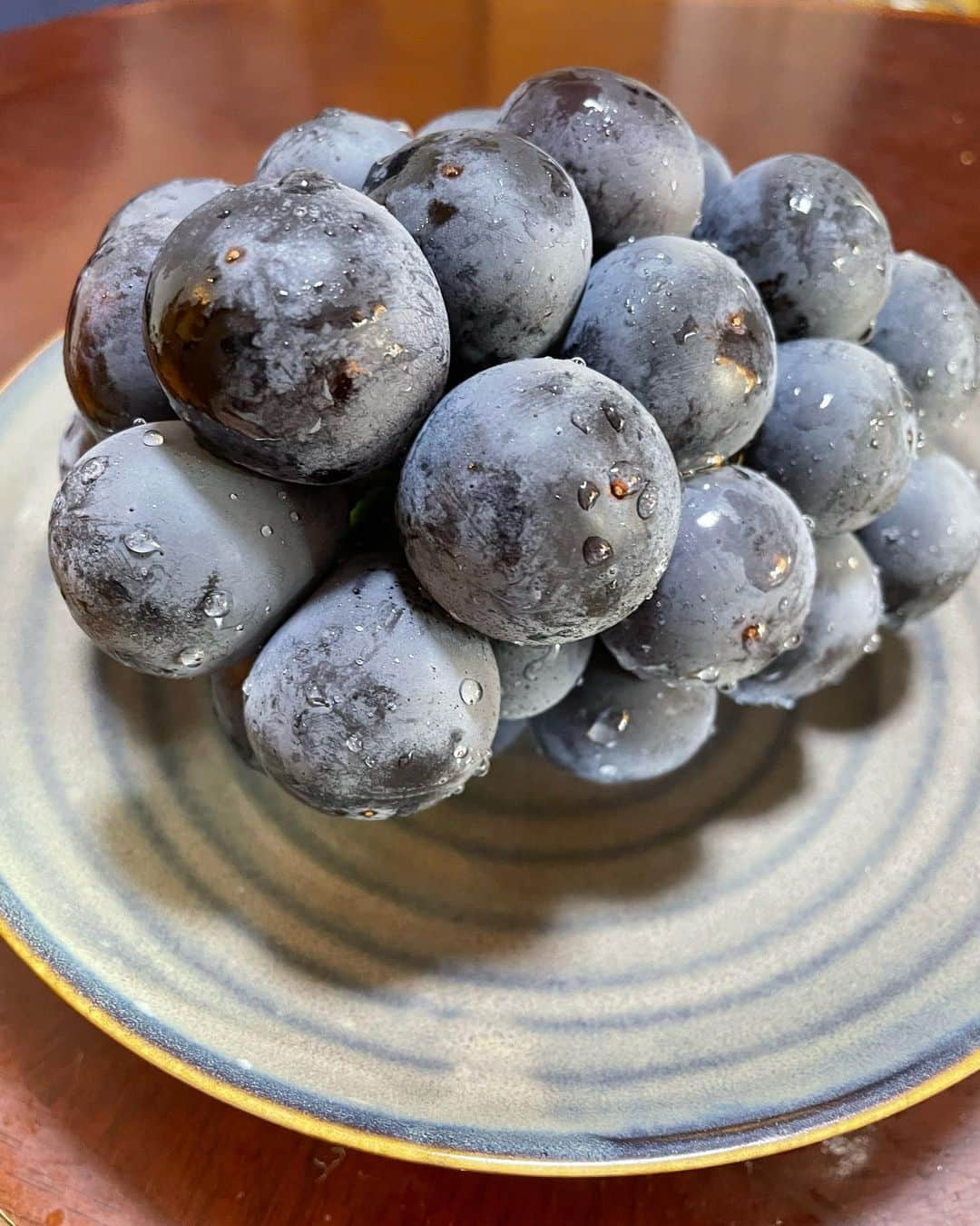 武内裕之のインスタグラム：「Aurora Black🍇 This grape is made in Okayama Japan #japanesefood #japanesefruit #dessert #aurorablack #grape #okayama」