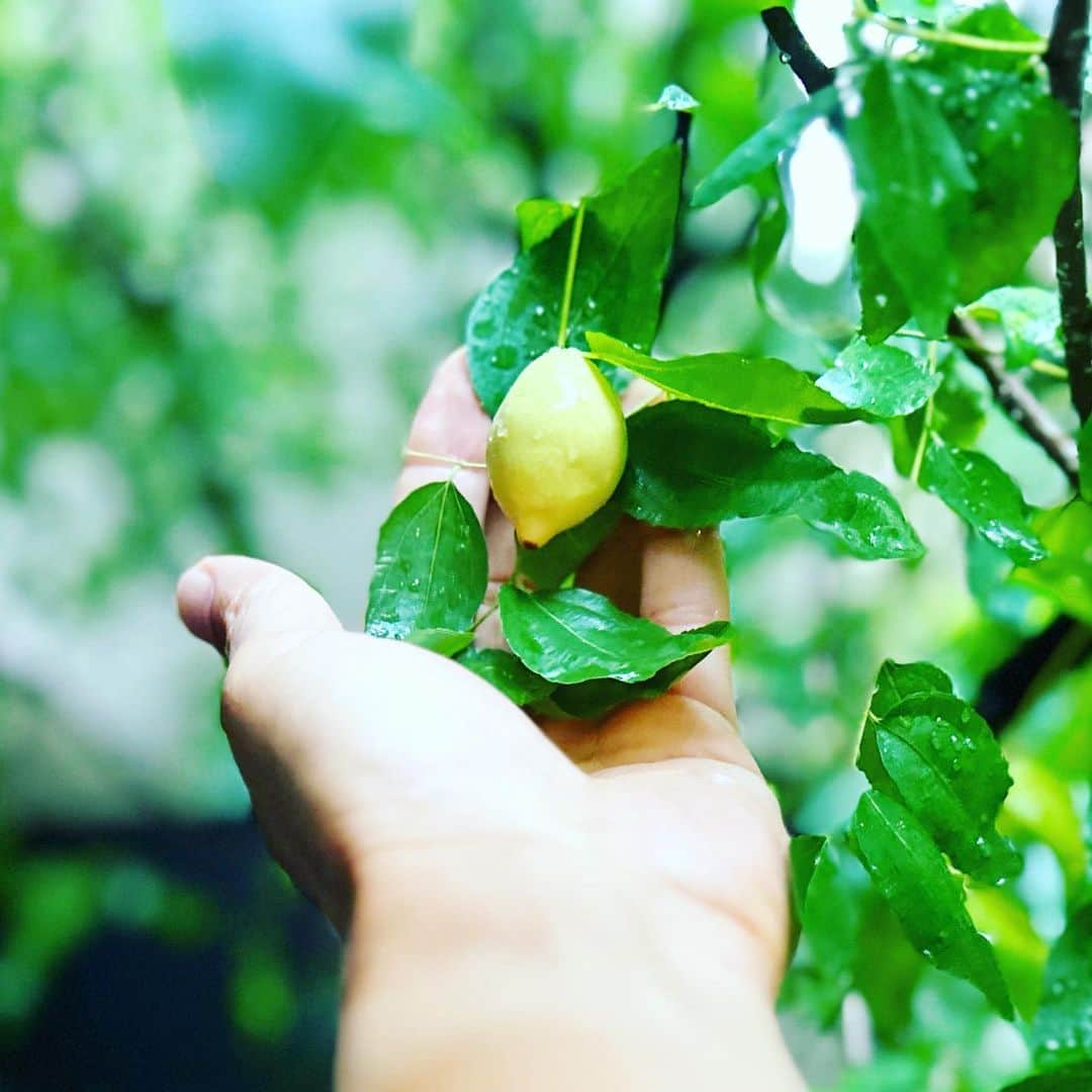 馬場俊英のインスタグラム：「雨曇りの週末。  コーヒーの湯気が感じられるくらいの秋🍂  じっくりとした季節をずっと待っていました。  そして明日は名古屋でツアーファイナル。  張り切って準備してます🔥」