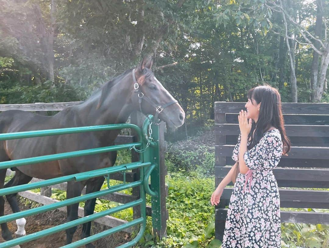 石川彩夏さんのインスタグラム写真 - (石川彩夏Instagram)「オジュウチョウサンと私🥺💓  競馬はギャンブルだけじゃないんだよ。 と教えてくれたのがオジュウチョウサン🏇  絶対王者と呼ばれる前から、お顔も馬体もドンピシャで推しでした🫶笑  3枚目は周りのから『わ！！オジュウチョウサン止まってくれてますよ！！』と教えて頂き、まさかすぎて💦あわあわしてる私😂  ※私も一般見学で皆さんと同じ状況で見学させて頂いております🙇‍♀️  牧場見学はルールとマナーを守りましょう💪  #yogiboヴェルサイユリゾートファーム #オジュウチョウサン」9月23日 14時08分 - ayaka0711zi