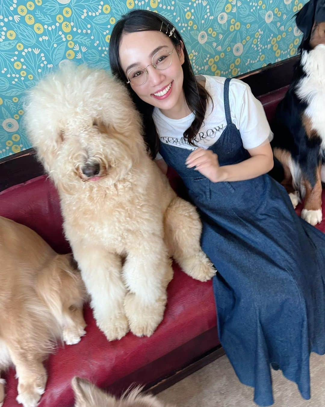 咲妃みゆさんのインスタグラム写真 - (咲妃みゆInstagram)「とっっっても癒された、ある夏の日｡｡ ⁡ 🤍🐶🤍🐶🤍🐶🤍 ⁡ #大型犬カフェ #grandmou #ぐらんむー」9月23日 14時56分 - miyusakihi