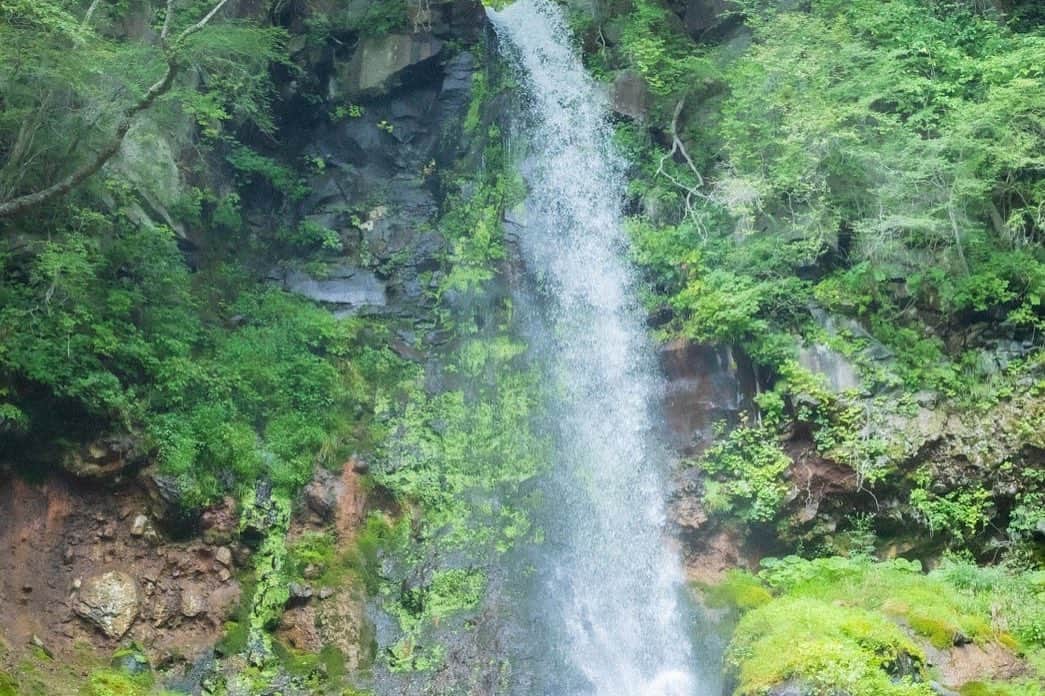 道重さゆみさんのインスタグラム写真 - (道重さゆみInstagram)「大森さん、ありぼぼさん、Masayoさんとの軽井沢旅行♡ 千ヶ滝1番上まで登ることができました✨ 頂上で、滝や緑の自然に癒されてたのに、途中からハチがずーーっと私にまとわりついてきて怖くて滝どころじゃなくなって 退散したのも思い出です😌笑  Masayoさんが素敵な写真たくさん撮ってくれて、本当に嬉しいです😭❤️ ありがとうございましたっ❣️✨✨」9月23日 14時54分 - sayumimichishige0713
