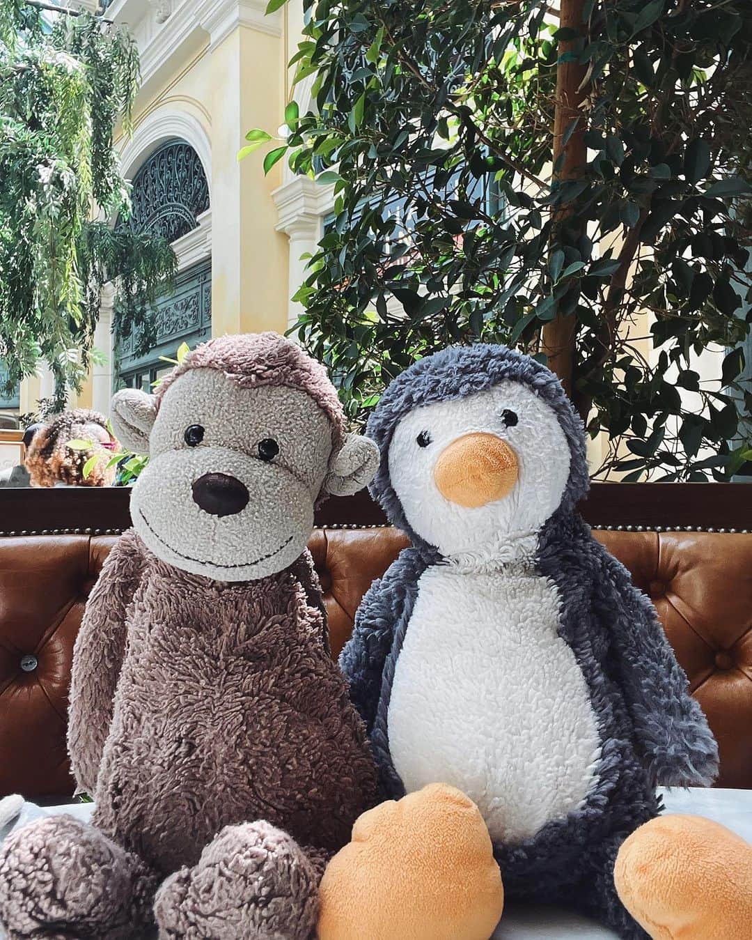 翁安芸さんのインスタグラム写真 - (翁安芸Instagram)「Las Vegasのホテルチェックインして、ちょうどお昼だったので事前にネットで予約しておいたBellagio内にある @sadellesriyadh へ🍽️💓  予約なしでも入れますが、時間帯的に結構列が長くできていたので事前予約おすすめです♡  室内の中庭が見える席は、ブースのようになっていて子どもも座りやすく、食事が来るまでの待ち時間も子どもたちはお庭を眺めたり、お互いの親友の人形🐧🐵で遊んで楽しんでいました♡  食事は色々とオーダーしてシェア🍳🌮🥑 アイスラテが巨大でびっくりしました🫢  #bellagio #ベラージオ #lasvegas #ラスベガス #sadelleslasvegas #sadelles」9月23日 16時09分 - akinyc