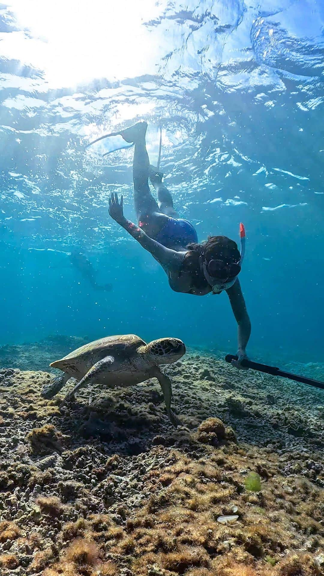 比嘉バービィのインスタグラム：「🐠🤿👙🫧 . 約10年ぶりの素潜り！ 初心者同然の私を温かくサポートしてくれた#GoProFamily の海女子たち✨  いかに上手に潜るか、ポージングはこれがいいよと丁寧に教えてくれて、そして撮影までしてくれた @__naagaa_____ には感謝でしかない🙏本当にありがとう🩵💙  もっと上達して私もみんなをうまく撮れるようになりたい🥹  📹: GoPro HERO12 @gopro @goprojp 🚢: @iriomote_cross_river  👣: @okinawablessing_wetsuits  👙: @roxyjapan   #goprojp #okinawa #iriomote #diving #skindiving #snoker #GoProHero12 #GoProTravel #goprogirl #GoProBarby  #沖縄 #西表島 #素潜り #シュノーケル」