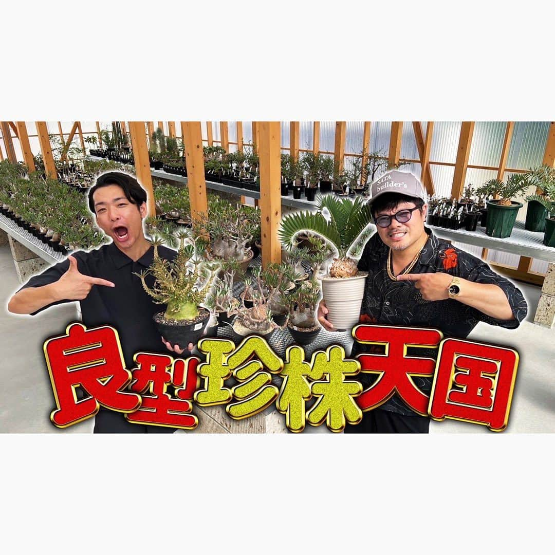 佐田正樹のインスタグラム