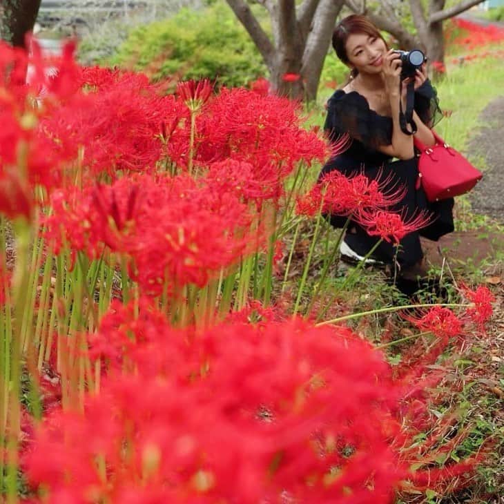 小早川怜子のインスタグラム