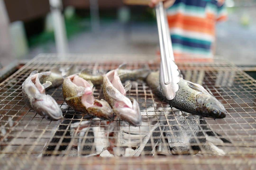 安田美沙子さんのインスタグラム写真 - (安田美沙子Instagram)「自然体験パート2  魚釣り🐟ではニジマスをつりました！  渓流釣り、掴み取りもあったけど、釣り堀にしました！  釣ってすぐ、炭で焼くのは美味しい😋  フォレストアドベンチャーでは、高いとこ苦手だけど、息子がぐいぐい行くから。。  頑張って挑戦。  最後の動画で叫んでます😅  パパにやってない人の温度差すごいからねって言われた。笑  90cmからできるので次男もできました☺️❤️  つづく。。。  #フォレストアドベンチャー蓼科 #釣り堀 #ニジマス #自然体験」9月23日 17時06分 - yasuda_misako