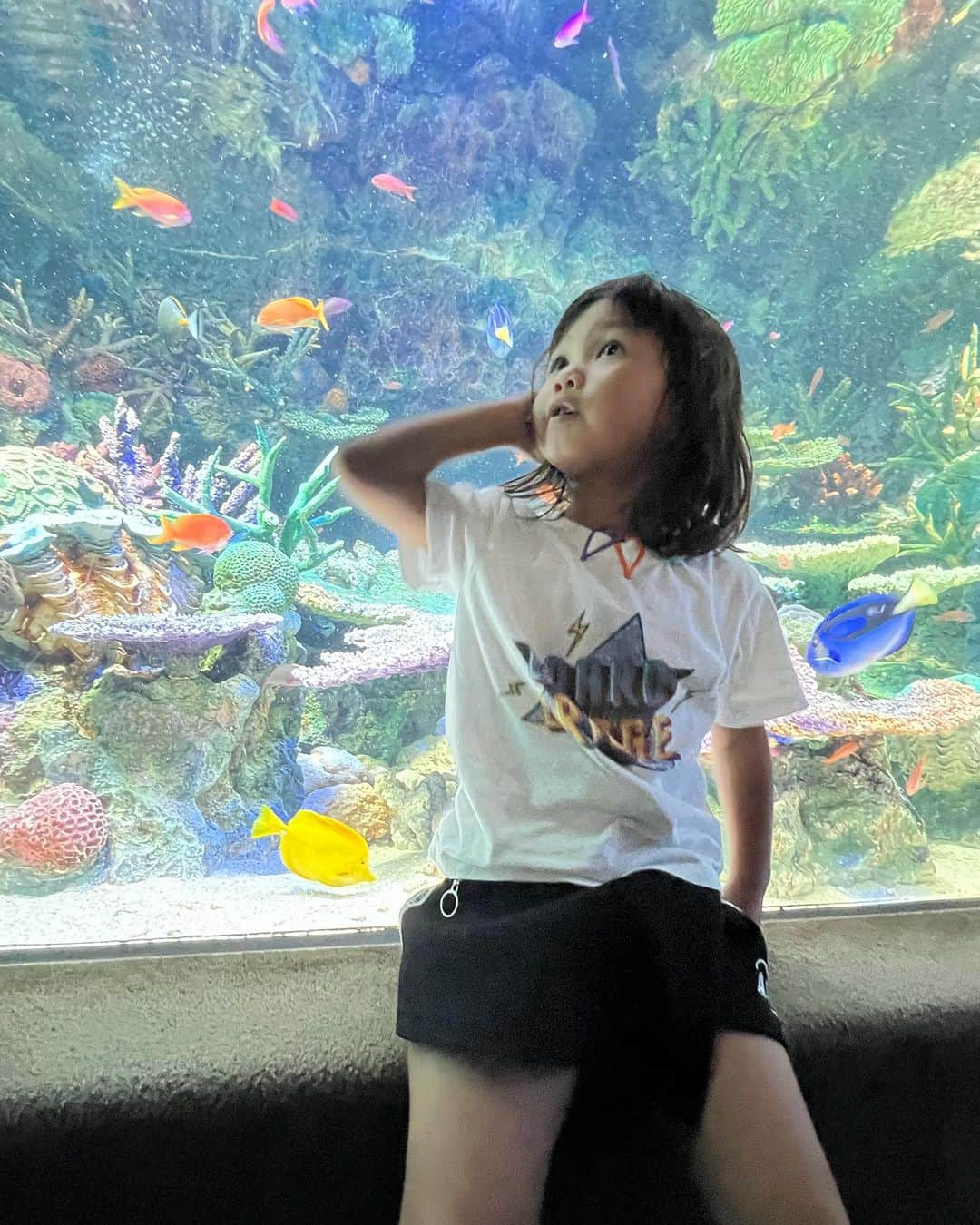 HARUKA MUTOさんのインスタグラム写真 - (HARUKA MUTOInstagram)「love Aquarium🐠🪼💛  パパ出張でワンオペ中は ママにもパパにもならなきゃいけないのです。　　  10キロの次女抱っこにひまの手を繋ぎ、 どんだけ重い荷物も気合いで持つ。が基本style🤘🏽  2人連れてのお出掛けは100%ドッと疲れるんだけど 楽しんでる姿を見ると、やっぱり行きたい場所に 連れてってあげたいと思うもの🫶 (道中ニコニコばかりではありませんw)  オトが水族館大好きだから 年パス買っちゃうおうかな💭🐠  #lovemyfamily #babygirl  #summer #sisters #momlife  #女の子ママ #姉妹ママ #1歳女の子 #5歳女の子 #ワンオペ育児 #ひまおと姉妹 #himaotosisters」9月23日 17時11分 - haruka_muto