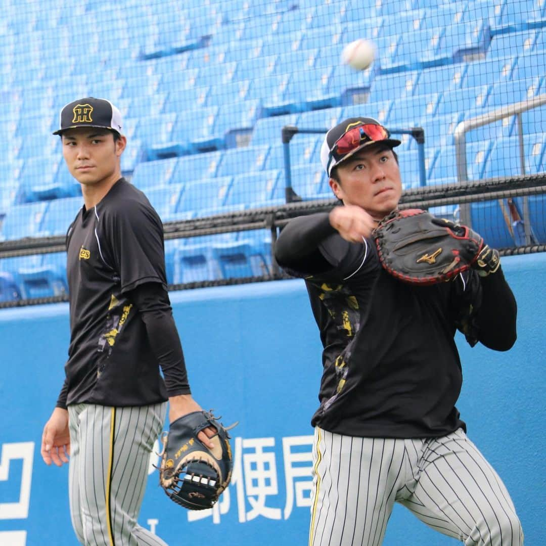 阪神タイガースさんのインスタグラム写真 - (阪神タイガースInstagram)「9月23日ヤクルト戦の試合前練習の様子です！ #坂本誠志郎 選手 #近本光司 選手 #木浪聖也 選手 #シェルドンノイジー 選手 #長坂拳弥 選手 #榮枝裕貴 選手 #加治屋蓮 選手 #石井大智 選手 #岡留英貴 選手 #桐敷拓馬 選手 #伊藤将司 選手 #阪神タイガース #JERAセリーグ #ARE」9月23日 17時35分 - hanshintigers_official