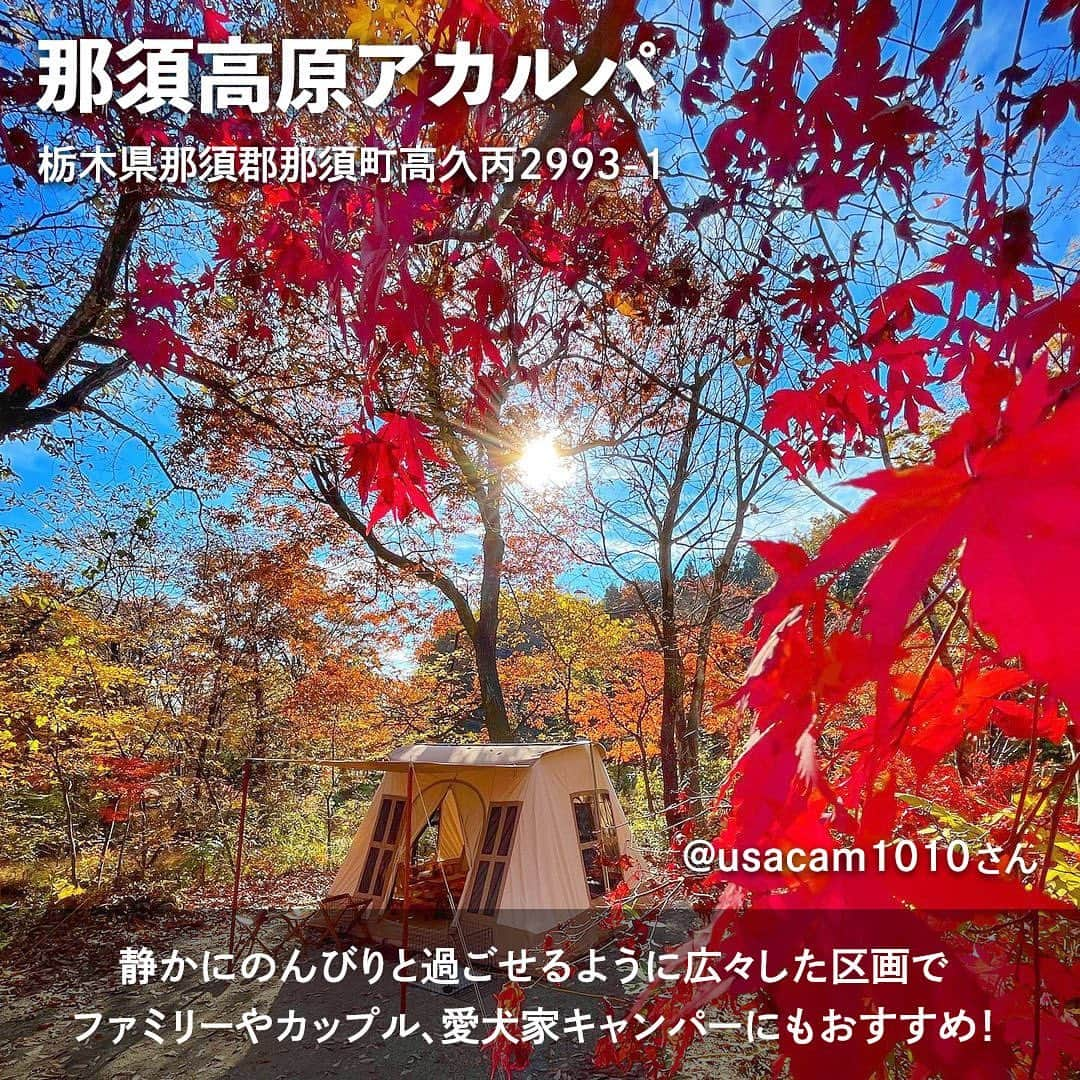 hinata_outdoorさんのインスタグラム写真 - (hinata_outdoorInstagram)「＼次のキャンプはここに決まり✨／  秋の行楽シーズン🍁 みなさんはどこに行く予定ですか？😆  せっかくなら紅葉の美しいグラデーションを 楽しみながらのキャンプはどうでしょう☺️  今回は、一度は訪れたい 紅葉の綺麗なキャンプ場をご紹介します✨  ぜひ参考にしてみてください❗️  Photo by @n0rdan  @y_kobayashi_photography  @obutter33  @camp.nezumi  @usacam1010   素敵な写真をお借りしました✨ 他投稿も参考になるので是非のぞいてみてください😆  **************  #hinataoutdoor を付けて アウトドアシーンをアップしてください🏕  素敵な投稿はリポストさせていただきます!  〜hinataの別アカウント〜 ・こだわりのキャンプギア🔦  　@hinatastore_official ・キャンプ場紹介・予約⛺ 　@hinata_spot ・そとごはんのアイディア🍳 　@hinatakitchen **************  #紅葉キャンプ #紅葉スポット #紅葉シーズン #秋キャンプ #キャンプサイト #キャンプ場 #キャンプ場探し #キャンプ場紹介 #キャンプ場情報 #山梨キャンプ #埼玉キャンプ場 #栃木キャンプ場 #アウトドア用品 #キャンプグッズ #露營用品 #ソロキャンプ用品 #アウトドアグッズ #露營必備 #キャンプ準備 #ソロキャンプ用品 #山道具 #キャンプアイテム #キャンプ収納 #ソロキャンプギア #ギア #キャンプギア自作 #キャンプギア紹介 #キャンプギアdiy #キャンプギア収納」9月23日 17時29分 - hinata_outdoor