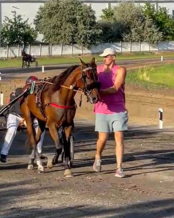 ニコラ・ヨキッチのインスタグラム：「Tomorrow at the Sombor Hippodrome Nikola Jokic has several horses running, including Amy Del Duomo, Brenno Laumar, Gemma and Aragorn.  His top two horses in Serbia, Amy Del Duomo and Brenno Laumar, will run against one another in the “Hello Cup.”  Source: HarrisonWind / X . . . #jokic #jokicnikola #joker #nikola #nikolajokic #denver #nuggets #denvernuggets #colorado #nba #basketball #serbia #usa #srbija #sombor #belgrade #beograd #mvp」