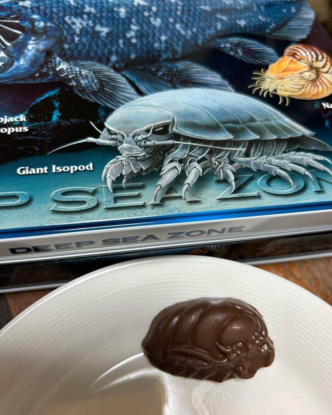 山崎ナオコーラのインスタグラム：「葛西臨海水族園で買った、 ダイオウグソクムシのチョコレート  #ダイオウグソクムシ」