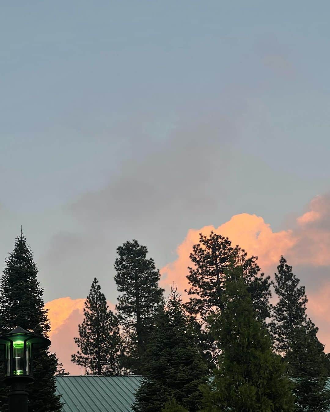 PIMTHAさんのインスタグラム写真 - (PIMTHAInstagram)「Yosemite camera rolls 🏕️🐻」9月24日 3時39分 - pimtha