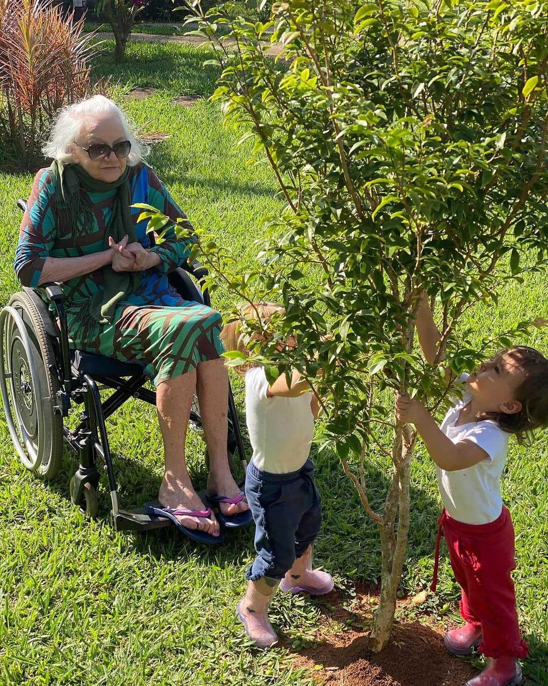 シェイラ・カストロのインスタグラム：「Hoje é seu aniversário. Ou seria… seriam 92 anos. Oh vó, que saudade. Como vc gostava de falar que seu aniversário era no início da primavera. E hoje mesmo sendo esse inicio, tá menos florido. Mais sem cor. Amo vc eternamente!」