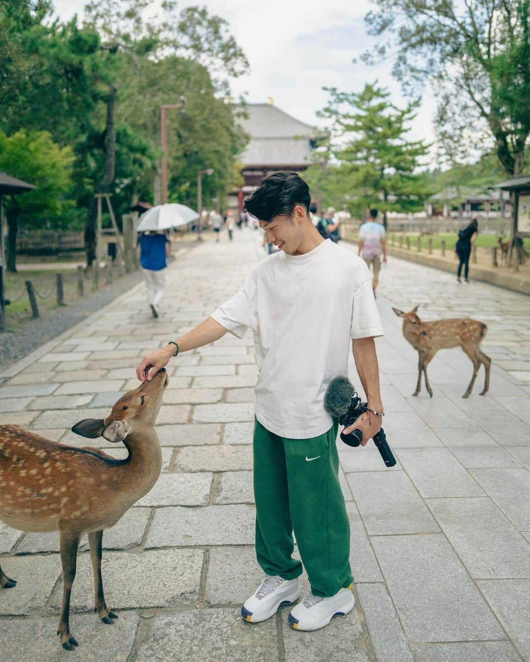 はるきさんのインスタグラム写真 - (はるきInstagram)「Come to Nara for lovely deers 🤩」9月23日 19時53分 - hr.8ruki