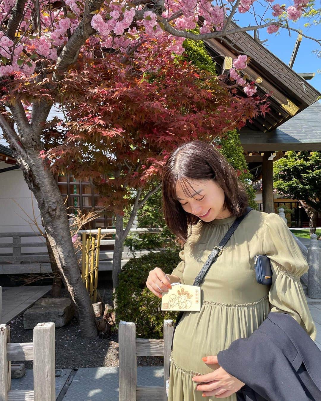 伊藤沙織さんのインスタグラム写真 - (伊藤沙織Instagram)「東京に戻って来て、1週間。 なんだかすごーく長く感じたのは充実した毎日を過ごしているからかも☺️  写真は、5月の戌の日に安産祈願してもらった代々木八幡宮⛩ 事前予約が出来るのでスムーズでした🫶  3枚目以降は、北海道旅行で訪れた西野神社。 安産の象徴である犬の像があって、生まれてくる子供の干支の子犬を撫でるとご利益があるそうです🐶  安産祈願のおかげで、母子共にいまこうして健康に過ごせています🥹🙏  #安産祈願 #戌の日 #戌の日安産祈願」9月23日 20時10分 - saori__ito