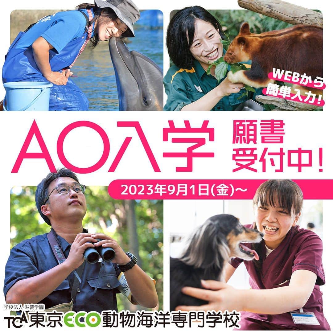 のインスタグラム：「東京ECOを受験予定の皆さん🐶  AO入学エントリー締切の9/30まで、残すところ1週間となりました😳‼️ 詳しくは公式HPよりご確認いただけます🐠✨ また、推薦入学希望の場合、10/1から受付がスタートします🦖 動物・自然環境業界で「好き」を仕事にしたい！皆さん。 夢に向かって、一緒に頑張っていきましょう🐬✨ . ・－・－・－・－・－・－・－・－・ ⁡ 学校説明会やオープンキャンパスも実施しております🐰🌱 ぜひご参加ください🕊🛰 ⁡ ・－・－・－・－・－・－・－・－・ ⁡ #tca東京eco動物海洋専門学校 #tcaeco #動物 #海洋 #ペット #自然環境 #恐竜 #専門学校 #オープンキャンパス #oc #進路 #動物園 #水族館 #飼育員」