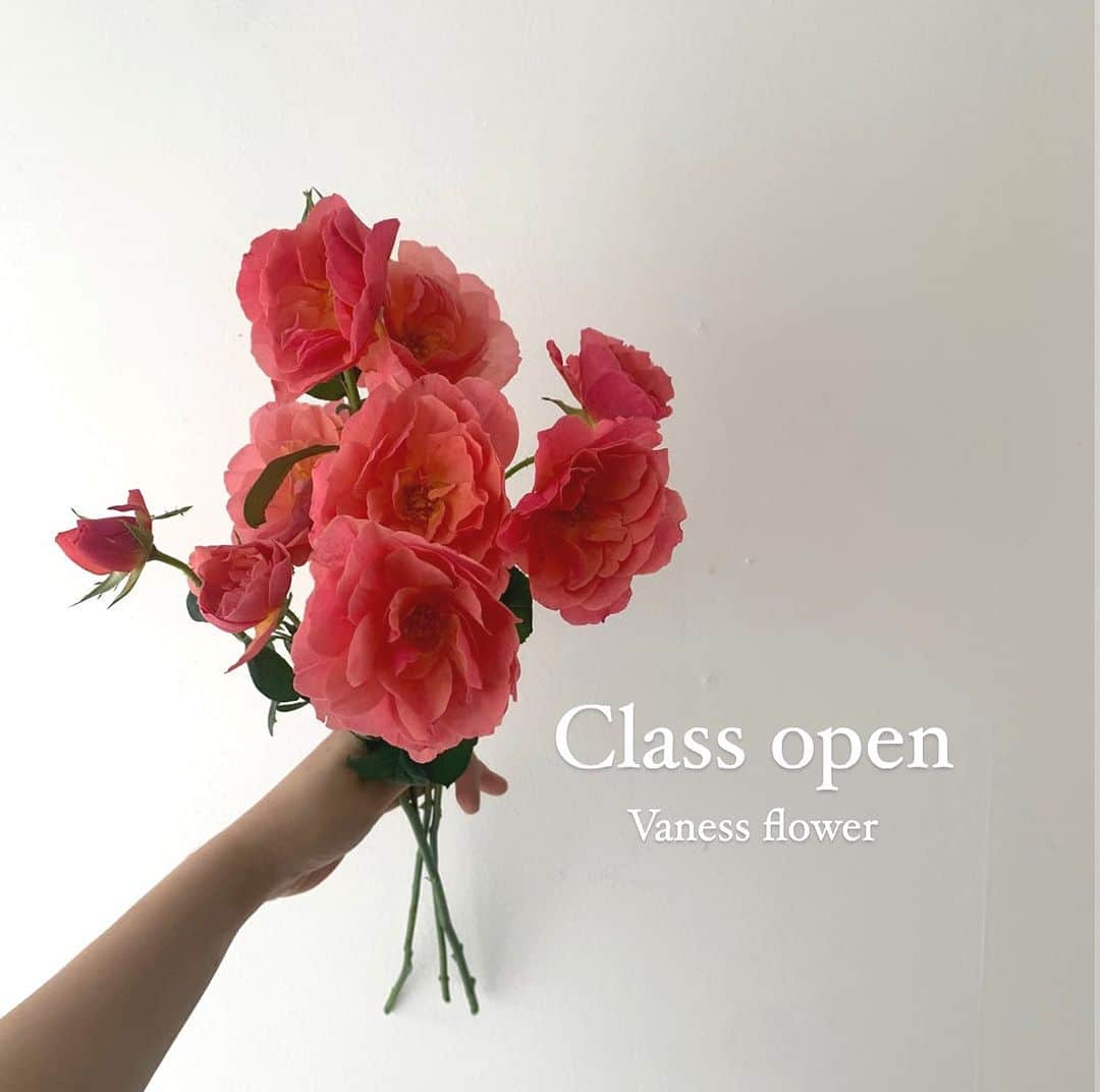 플로리스트 이주연 florist Lee Ju Yeonさんのインスタグラム写真 - (플로리스트 이주연 florist Lee Ju YeonInstagram)「. . 10월 Hand tied class 3회  . 10/11,10/18,10/25 매주수요일 12pm  . 핸드타이드 마스터 클래스는  총 3회 과정으로 중급2번 고급 1번 과정의 수업으로 진행되며  디테일한 이론과 꽃다발에 대한 이해도와 개념정리를 정확히 해드리고  본인의 잘못된 핸드타이드 습관을 고쳐 드리며  이론 실기 포장이 디테일하게 티칭이 들어갑니다  모든 수업에는 포장이 포함 되어 있으며  3주 과정 전부 다르게 진행됩니다  (포장 동영상 촬영 가능)  10월 창업반 개강모집  . 목 1:30pm 17회,30회 . 자세한내용은 인스타상단 블로그링크 통해 확인부탁드립니다 🙏🏻 . 문의 DM , kakao ID vaness52 . 바네스플라워 VANESS FLOWER . Katalk ID vaness52 E-mail vanessflower@naver.com . Paypal payment possible . 서울시 중구 청파로464 브라운스톤서울 101동2806호 📞02-545-6813」9月23日 20時27分 - vanessflower