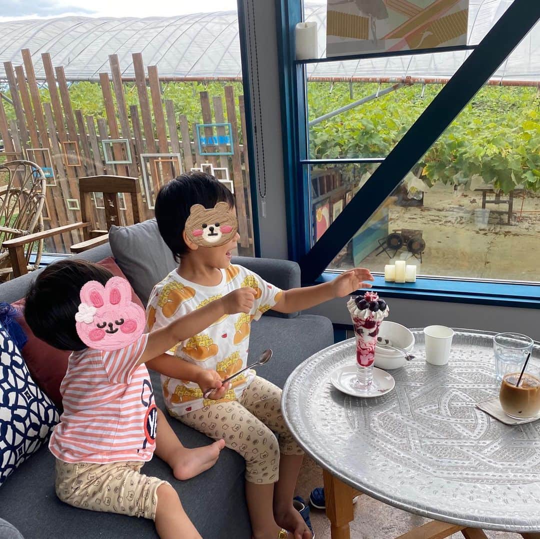 大西蘭さんのインスタグラム写真 - (大西蘭Instagram)「《ぶどう狩り》 やまふじぶどう園でぶどう狩り🍇  先月の話ですが、 今年もぶどう狩りへ😍  この日のぶどう狩りは、ブラックビートという品種🍇  息子も娘もぶどうが大好きなので、大粒のぶどうを見て大喜び😊  ぶどう狩りの後は、やまふじぶどう園のカフェでランチして、ぶどうパフェを食べて、大満足でした☺️  ランチは野菜もいっぱいで彩り良くて、美味しかったし ぶどうパフェは2人でぶどうを取り合いながら食べてました😂  あと、なんといってもやまふじカフェのインテリア、景色、家具、雰囲気が好きです😌  もちろん自分たちで摘み取ったぶどうは甘くてジューシーでとっても美味しく、あっという間になくなりました！  まだぶどう狩りできるそうなので、Instagramでチェックしてから訪れてみてください🙌  @yamafujibudou  @yamafujicafe   いいね、コメント、保存ありがとうございます😌✨  気軽にフォローしてくださいね🌷 @onishiran  ．  #やまふじぶどう園 #ぶどう狩り #やまふじカフェ  #富山ママ #富山ママと繋がりたい #富山観光 #北陸旅行 #北陸観光 #富山子連れ #富山子連れおでかけ #子連れおでかけ #子連れランチ #キッズフレンドリー」9月23日 20時35分 - onishiran