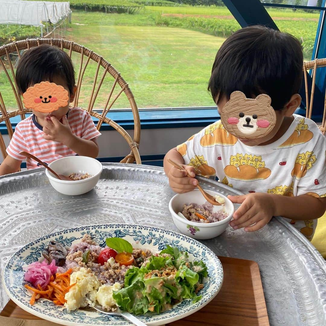 大西蘭さんのインスタグラム写真 - (大西蘭Instagram)「《ぶどう狩り》 やまふじぶどう園でぶどう狩り🍇  先月の話ですが、 今年もぶどう狩りへ😍  この日のぶどう狩りは、ブラックビートという品種🍇  息子も娘もぶどうが大好きなので、大粒のぶどうを見て大喜び😊  ぶどう狩りの後は、やまふじぶどう園のカフェでランチして、ぶどうパフェを食べて、大満足でした☺️  ランチは野菜もいっぱいで彩り良くて、美味しかったし ぶどうパフェは2人でぶどうを取り合いながら食べてました😂  あと、なんといってもやまふじカフェのインテリア、景色、家具、雰囲気が好きです😌  もちろん自分たちで摘み取ったぶどうは甘くてジューシーでとっても美味しく、あっという間になくなりました！  まだぶどう狩りできるそうなので、Instagramでチェックしてから訪れてみてください🙌  @yamafujibudou  @yamafujicafe   いいね、コメント、保存ありがとうございます😌✨  気軽にフォローしてくださいね🌷 @onishiran  ．  #やまふじぶどう園 #ぶどう狩り #やまふじカフェ  #富山ママ #富山ママと繋がりたい #富山観光 #北陸旅行 #北陸観光 #富山子連れ #富山子連れおでかけ #子連れおでかけ #子連れランチ #キッズフレンドリー」9月23日 20時35分 - onishiran