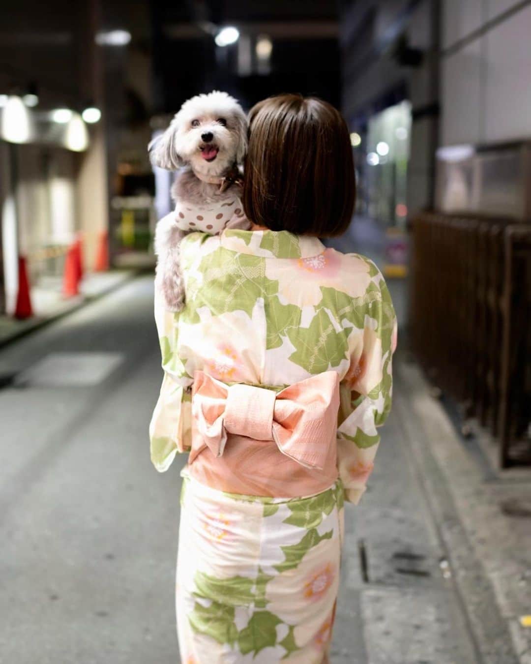 小坂温子さんのインスタグラム写真 - (小坂温子Instagram)「ぎゅ🐶💕 #マーガレット  #マガちゃん  #マルプー  #浴衣  #保護犬を家族に」9月23日 20時40分 - kosaka_atsuko