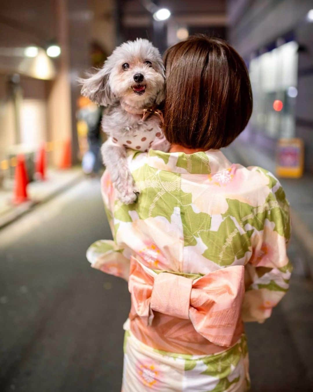小坂温子のインスタグラム：「ぎゅ🐶💕 #マーガレット  #マガちゃん  #マルプー  #浴衣  #保護犬を家族に」