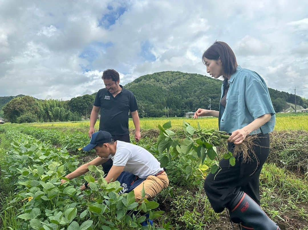 真飛聖さんのインスタグラム写真 - (真飛聖Instagram)「『発見！！食遺産』  先週に引き続き『発見！！食遺産』 出演させていただきます📺  明日9月24日(日)お昼12時29分から テレビ大阪で放送です📺 見れない地域の方はTVerで ぜひぜひ、ご覧くださいね♡ 先週の放送分も、 明日までは見れるはずなので、ぜひぜひ〜✨  今週は 丹波篠山の『枝豆・デカンショ豆』です✨  先週、みなさんに教えていただいたレシピも とっても美味しかったですが、 今週もこれまた美味しかったんです✨  どうぞ、お楽しみに〜♡  #テレビ大阪 #発見食遺産 #石田靖 さん #兵庫県#丹波篠山」9月23日 20時59分 - sei_matobu