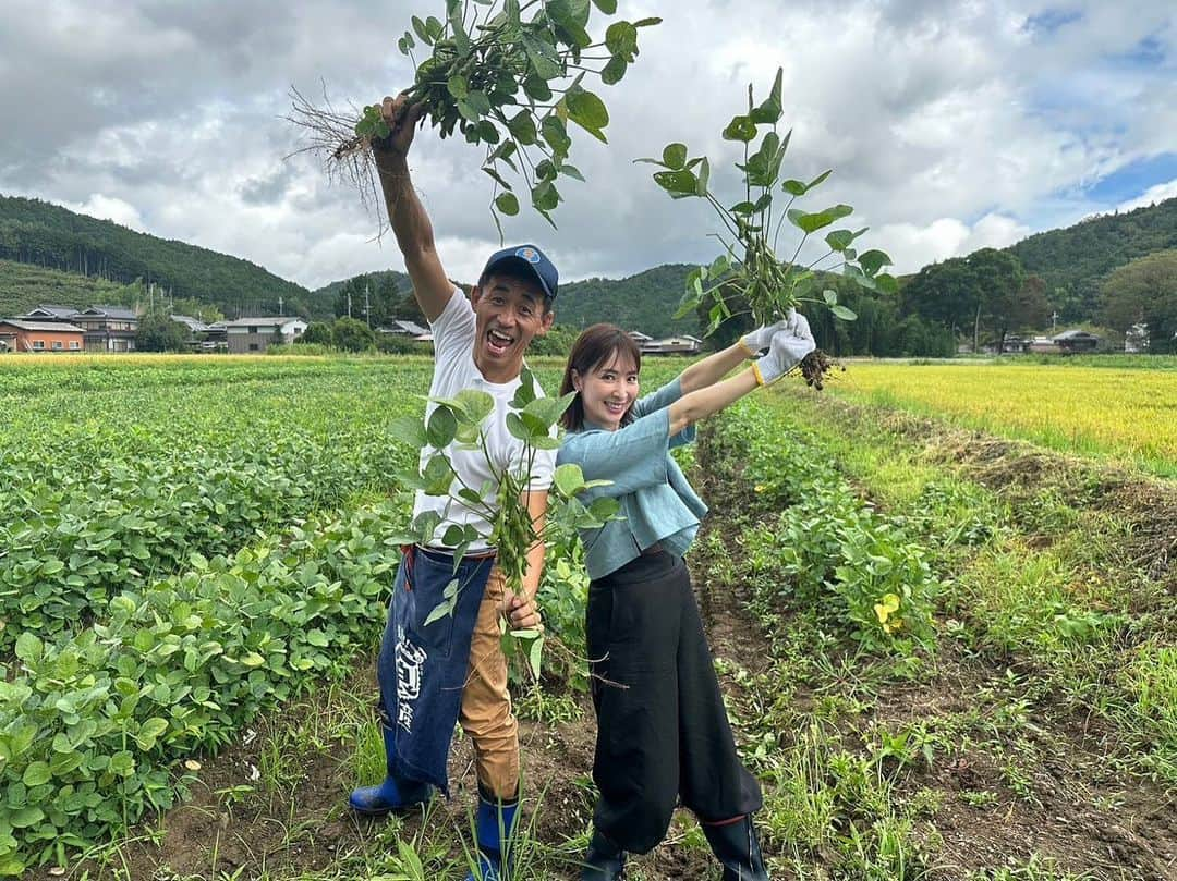 真飛聖のインスタグラム：「『発見！！食遺産』  先週に引き続き『発見！！食遺産』 出演させていただきます📺  明日9月24日(日)お昼12時29分から テレビ大阪で放送です📺 見れない地域の方はTVerで ぜひぜひ、ご覧くださいね♡ 先週の放送分も、 明日までは見れるはずなので、ぜひぜひ〜✨  今週は 丹波篠山の『枝豆・デカンショ豆』です✨  先週、みなさんに教えていただいたレシピも とっても美味しかったですが、 今週もこれまた美味しかったんです✨  どうぞ、お楽しみに〜♡  #テレビ大阪 #発見食遺産 #石田靖 さん #兵庫県#丹波篠山」