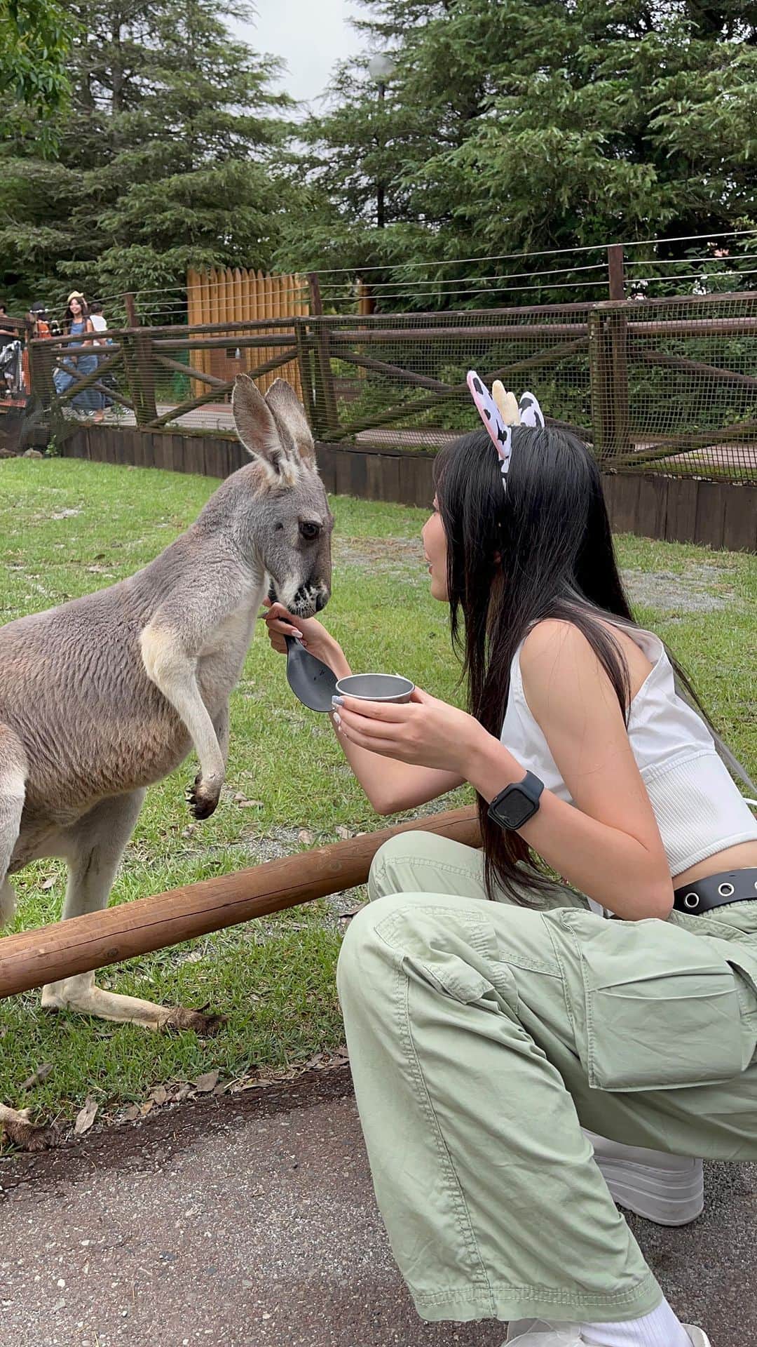 山邊未夢のインスタグラム：「念願のカンガルーと初ご対面🦘🤎 可愛すぎる、、 初カンガルーふわっふわでびっくりしちゃった！！  #サファリパーク #富士サファリパーク #動物 #カンガルー #アニマル  #ふれあい #ふれあい動物園 #animal #kangaroo #love #instadaily #日常 #かわいい」