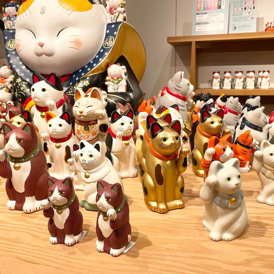 BEAMS JAPANさんのインスタグラム写真 - (BEAMS JAPANInstagram)「＜〈中外陶園〉の招き猫が大集合！「来る福招き猫まつり 2023」を開催中！  9月23日（土）追加入荷致しました！  オープン当初から独特のフォルムと 可愛らしい表情でロングセラーとなっている 『中外陶園の招き猫』シリーズ。   前回大盛況だった『中外陶園の招き猫』を 一斉に集めたモアバリエーションを 今年も「ビームス ジャパン 新宿」 「ビームス ジャパン 京都」にて開催します。   イベントに合わせ 〈中外陶園 × ビームス ジャパン〉が コラボレーションした手乗りサイズの 『ちいさな招き猫』カプセルトイも発売します。   招き猫の招く手は人や幸運、 お金を”招く”と言われています。   お気に入りの招き猫とともに、 暮らしにたくさん”福”が招かれますように。  ーーーーーーーーーーーーーーーーーーーーーー  【開催期間】 2023年9月13日（水）〜10月17日（火）  【開催店舗】 ビームス ジャパン（新宿1F）  ※お問い合わせは DM、又はお電話にて承っております。  ●お問い合わせ電話番号　 BEAMS JAPAN 1F ☎︎ 03-5368-7314  ーーーーーーーーーーーーーーーーーーーーーー  #beams  #beamsjapan  #beamsjapan1st  #ビームス #ビームスジャパン #日本製 #madeinjapan #日本の銘品 #中外陶園 #招き猫 #招き猫祭り #瀬戸まねき猫」9月23日 21時18分 - beams_japan