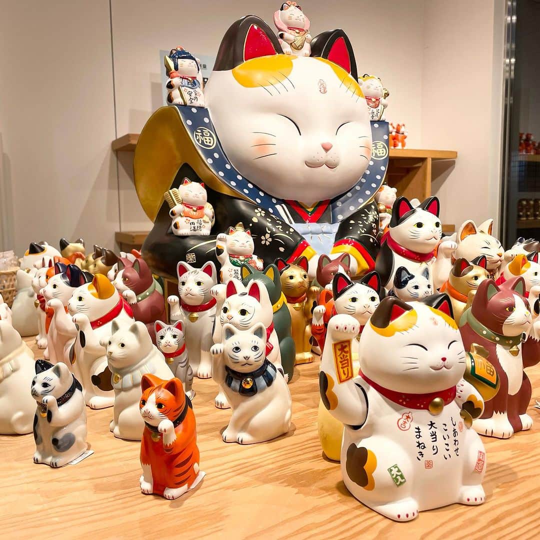 のインスタグラム：「＜〈中外陶園〉の招き猫が大集合！「来る福招き猫まつり 2023」を開催中！  9月23日（土）追加入荷致しました！  オープン当初から独特のフォルムと 可愛らしい表情でロングセラーとなっている 『中外陶園の招き猫』シリーズ。   前回大盛況だった『中外陶園の招き猫』を 一斉に集めたモアバリエーションを 今年も「ビームス ジャパン 新宿」 「ビームス ジャパン 京都」にて開催します。   イベントに合わせ 〈中外陶園 × ビームス ジャパン〉が コラボレーションした手乗りサイズの 『ちいさな招き猫』カプセルトイも発売します。   招き猫の招く手は人や幸運、 お金を”招く”と言われています。   お気に入りの招き猫とともに、 暮らしにたくさん”福”が招かれますように。  ーーーーーーーーーーーーーーーーーーーーーー  【開催期間】 2023年9月13日（水）〜10月17日（火）  【開催店舗】 ビームス ジャパン（新宿1F）  ※お問い合わせは DM、又はお電話にて承っております。  ●お問い合わせ電話番号　 BEAMS JAPAN 1F ☎︎ 03-5368-7314  ーーーーーーーーーーーーーーーーーーーーーー  #beams  #beamsjapan  #beamsjapan1st  #ビームス #ビームスジャパン #日本製 #madeinjapan #日本の銘品 #中外陶園 #招き猫 #招き猫祭り #瀬戸まねき猫」