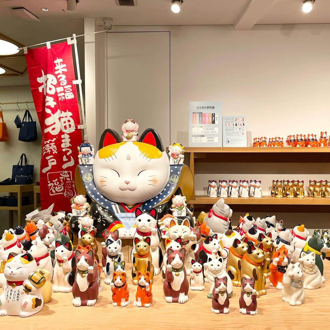 のインスタグラム：「＜〈中外陶園〉の招き猫が大集合！「来る福招き猫まつり 2023」を開催中！  9月23日（土）追加入荷致しました！  オープン当初から独特のフォルムと 可愛らしい表情でロングセラーとなっている 『中外陶園の招き猫』シリーズ。   前回大盛況だった『中外陶園の招き猫』を 一斉に集めたモアバリエーションを 今年も「ビームス ジャパン 新宿」 「ビームス ジャパン 京都」にて開催します。   イベントに合わせ 〈中外陶園 × ビームス ジャパン〉が コラボレーションした手乗りサイズの 『ちいさな招き猫』カプセルトイも発売します。   招き猫の招く手は人や幸運、 お金を”招く”と言われています。   お気に入りの招き猫とともに、 暮らしにたくさん”福”が招かれますように。  ーーーーーーーーーーーーーーーーーーーーーー  【開催期間】 2023年9月13日（水）〜10月17日（火）  【開催店舗】 ビームス ジャパン（新宿1F）  ※お問い合わせは DM、又はお電話にて承っております。  ●お問い合わせ電話番号　 BEAMS JAPAN 1F ☎︎ 03-5368-7314  ーーーーーーーーーーーーーーーーーーーーーー  #beams  #beamsjapan  #beamsjapan1st  #ビームス #ビームスジャパン #日本製 #madeinjapan #日本の銘品 #中外陶園 #招き猫 #招き猫祭り #瀬戸まねき猫」