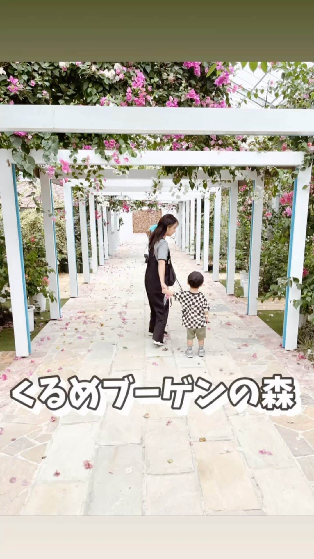 ayacasuのインスタグラム：「* * 今年4月12日にオープンして 9月16日にリニューアルオープンしたばかりの ブーゲンビリア🌺の花園•植物園𓂃 𓈒𓏸 * お昼ごはんに沖縄料理を食べて ハウス内を探索...🚶🌺 * ブーゲンビリアが大量に咲いてて 配られた袋に落ちてるブーゲンビリアを 拾って持ち帰ることもできるよ🌺 女の子喜びそう~ .ᐟ.ᐟ * わんちゃんもOK🐶 ウェディング撮影してる方もいてた👰✨ あちらこちらにブーゲンビリアでできた ♡がたくさんあったよ~🫶 ˊ˗ * 10月にオープンするお店もあるみたいです.ᐟ.ᐟ たまたまお昼ごはん食べに行き着いた先が ここやったんやけど、こんなに綺麗な場所やとは 思ってなくてびっくりした💡 足湯もあったよ~ .ᐟ.ᐟ 行った日がリニューアルオープン2日後やったけど 人も少なくて穴場スポットでした🤫🌺 ˊ˗ * * 𓊆 くるめブーゲンの森 𓊇 📍久留米市合川町1333-1 ◎営業時間 10:00 ~ 18:00 ◎休園日 当面の間無休 ◎入園料金 大人¥600 高校生以下¥300 幼児無料 ◎駐車料金 無料 * 𓊆 沖縄料理 綾門𓊇 タコライスやソーキそば 種類豊富なお惣菜など 沖縄料理が食べられます♪ 個室あり * * #くるめブーゲンの森 #ブーゲンビリア #ブーゲンビリア🌺 #bougainvillea #久留米 #久留米観光 #久留米旅 #福岡観光 #福岡観光穴場 #福岡観光スポット #久留米観光スポット #福岡フォトスポット #福岡お出かけ #福岡旅 #イズミファーム #fukuoka #kurume #週末おでかけ #子連れお出かけ #子連れ旅行 #子連れランチ #久留米フォトスポット」