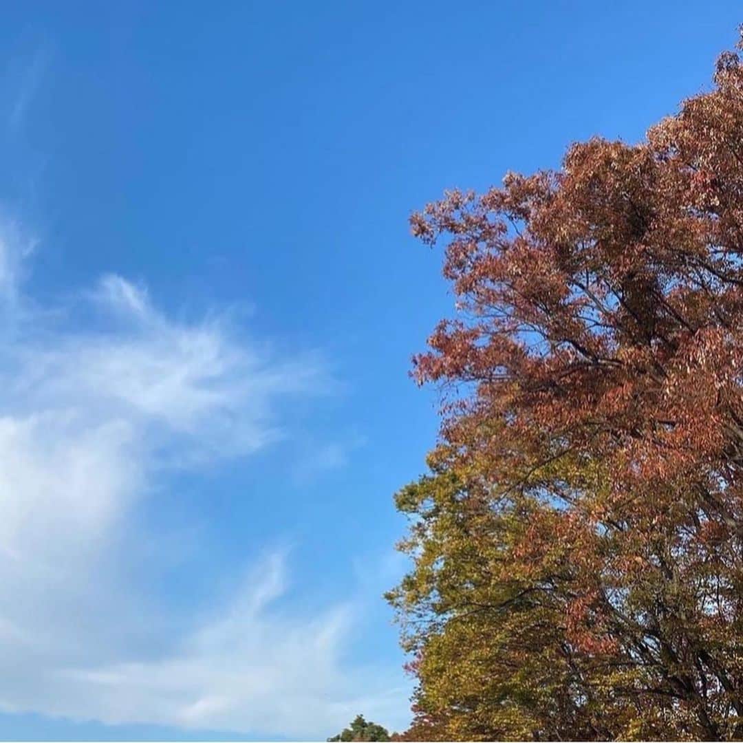 寺田蘭世さんのインスタグラム写真 - (寺田蘭世Instagram)「. 色んな人に感謝しています。 出逢ってくれてありがとうございます。 お祝いしてくれてありがとうございます。 産んでくれて本当にありがとう。 沢山の愛をありがとうございます。🌹🌹🌹🌹🌹」9月23日 21時46分 - terada.ranze.official