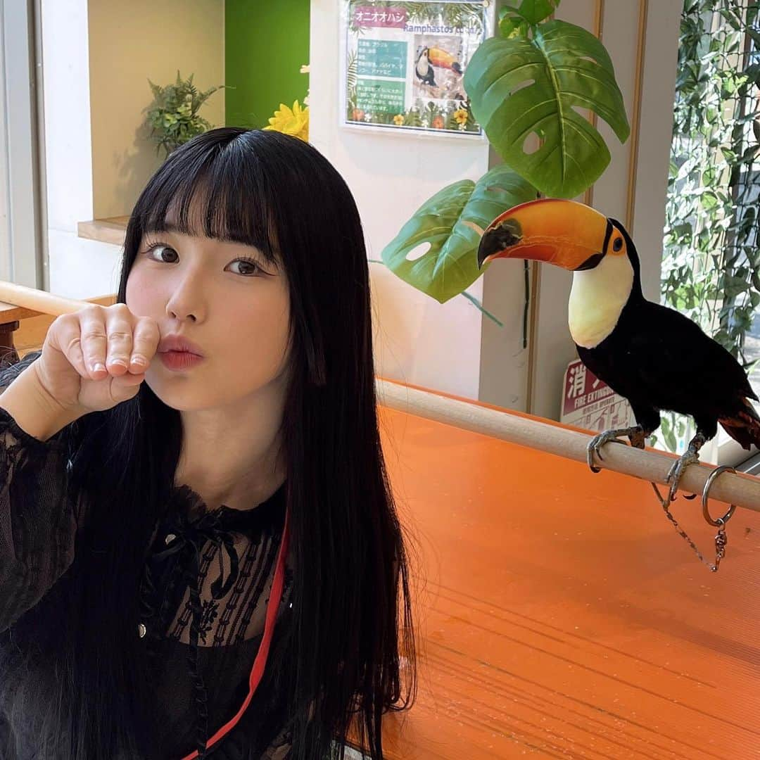 森嶋あんりさんのインスタグラム写真 - (森嶋あんりInstagram)「オオハシさんとお友達になった‪🦜‬」9月23日 22時05分 - an_chuu122