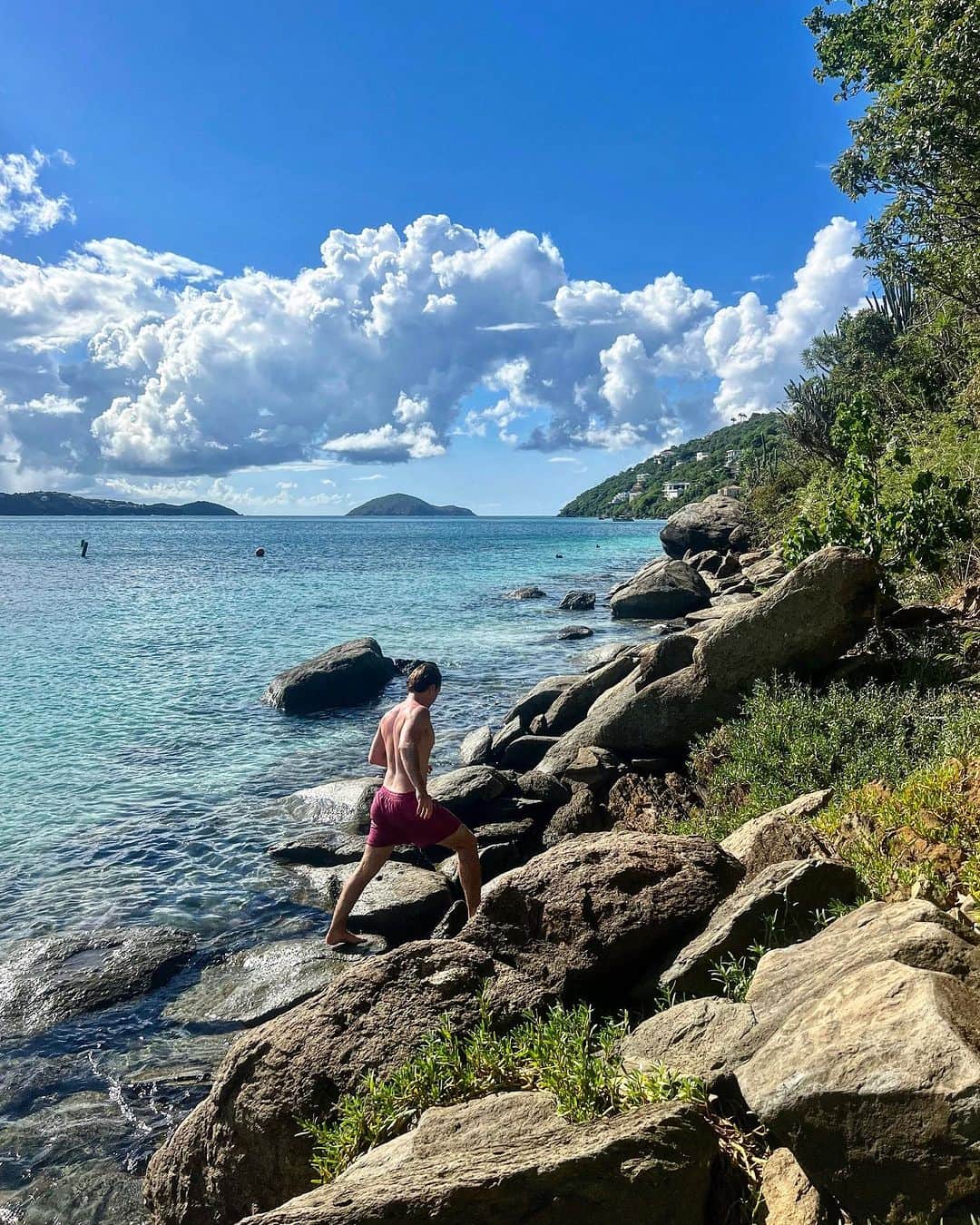 jotipolizoakisのインスタグラム：「never ending summer」