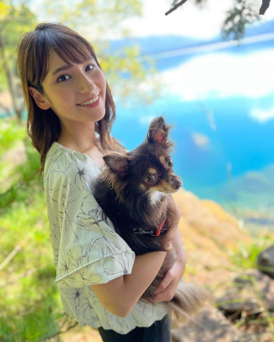 澤田愛美さんのインスタグラム写真 - (澤田愛美Instagram)「.  急に秋らしさを感じるようになりましたね😳  急いでとても暑かった日の 思い出の写真を投稿します😂  わんこたちを連れて家族で秋田県に行きました！ 田沢湖の青がとても美しかったのです🥺✨  .   #秋田県 #田沢湖 #犬とお出かけ #犬と旅行 #いぬのいる暮らし #ヨークシャーテリア #チワワ #アナウンサー」9月23日 22時34分 - amy____oxox