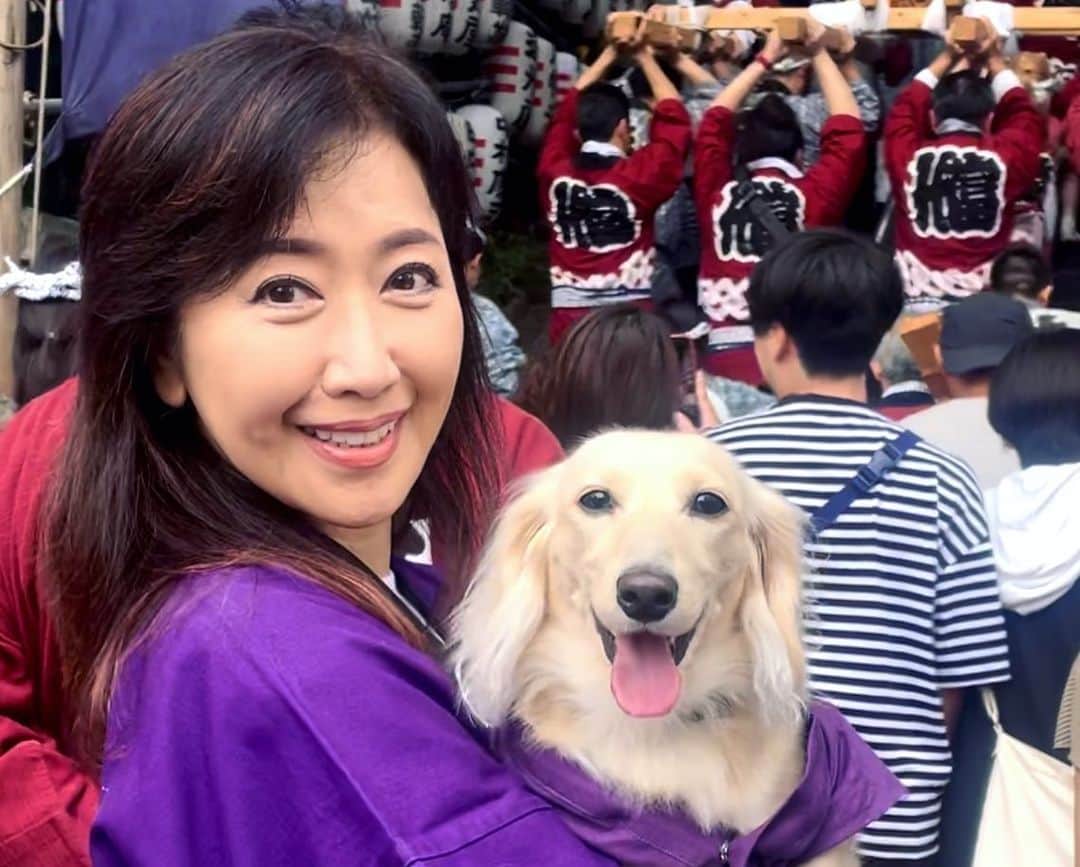 伍代夏子のインスタグラム：「宮入りです⛩️ りくが来て二度目のお祭り… 今年は二基のお神輿がウチで休憩してくれました🍵 来年は担ごうかなぁ…と、毎年言ってる気がする😆 #代々木八幡宮例大祭2023  #元町敬神会 #富谷仲町睦  #2ポーズ」