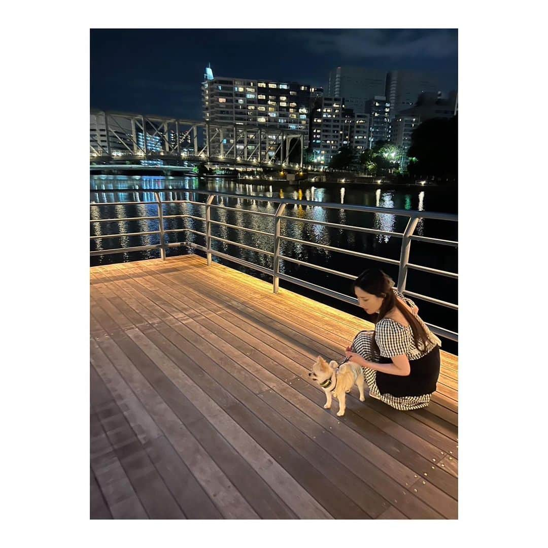 森田真以のインスタグラム：「🌉 いつかの天王洲アイルディナー🍽️ ポメチワのもこたんこと、もこみちくん🫶🏻 ちょっとだけ一緒にお散歩したよ🚶‍♀️🚶‍♀️🐕 葵ちゃんありがと〜( ˘ω˘ )✨  #天王洲アイル #品川 #ディナー #ポメチワ #夜景 #わんことお出かけ #愛犬 #ペット #ビーグル #犬 #犬のいる暮らし #犬との暮らし #犬とお出かけ #いぬすたぐらむ #instadog #instadialy #beagle #dog #dogrun #tokyo #family #mypet #ig_dogphoto #happy #doglife #dayoff #ootd  #dinner」