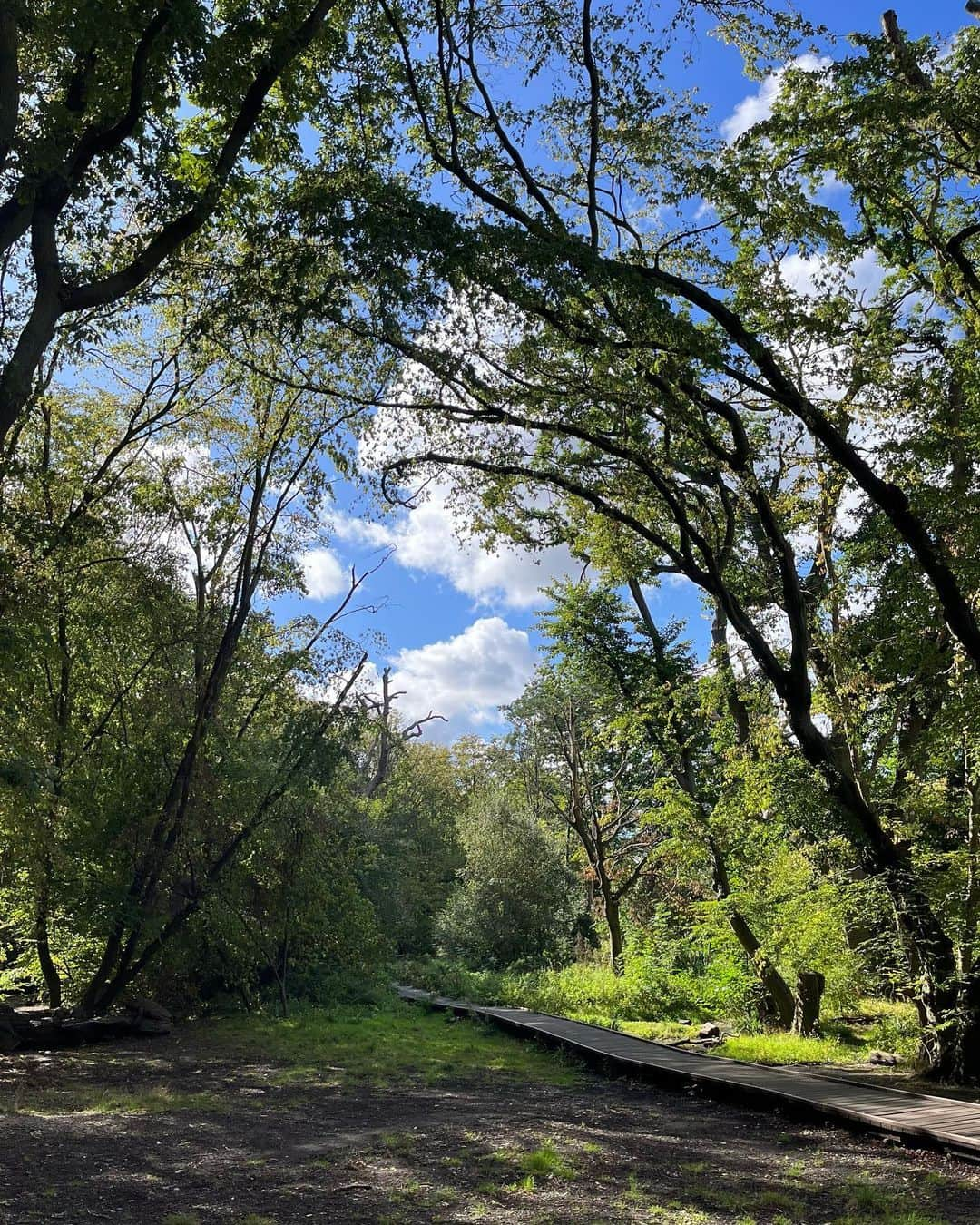 メラニー・サイクスさんのインスタグラム写真 - (メラニー・サイクスInstagram)「It Is Peace   What does stillness sound like? What does it sound like when you Turn off the television set and cell phone? What does it sound like when you Take a break from talking With family, friends and colleagues? What does it sound like in your mind when you Turn off the constant stream of thoughts? What does stillness sound like? What does stillness feel like? Does it feel uncomfortable? Unfamiliar? Rejuvenating? Calming? What does stillness feel like? What would happen if you stopped thinking about the Past? Stopped replaying the same tapes over and over in your mind? What would happen if you stopped thinking about the future? Always waiting with anticipation for what is next? What would happen if you brought your focus to this moment? This breath coming in. This breath going out... What is this? When you hear stillness, When you feel stillness, When your focus is only on this moment?  It is Peace.  by Barb Larson Taylor  #peace #poetry  #nature #breathe #walk #bluesky #clouds  #light #colour #vision  #balance #localpark  🧘🏽‍♀️🙏🏻💫」9月23日 22時48分 - msmelaniesykes