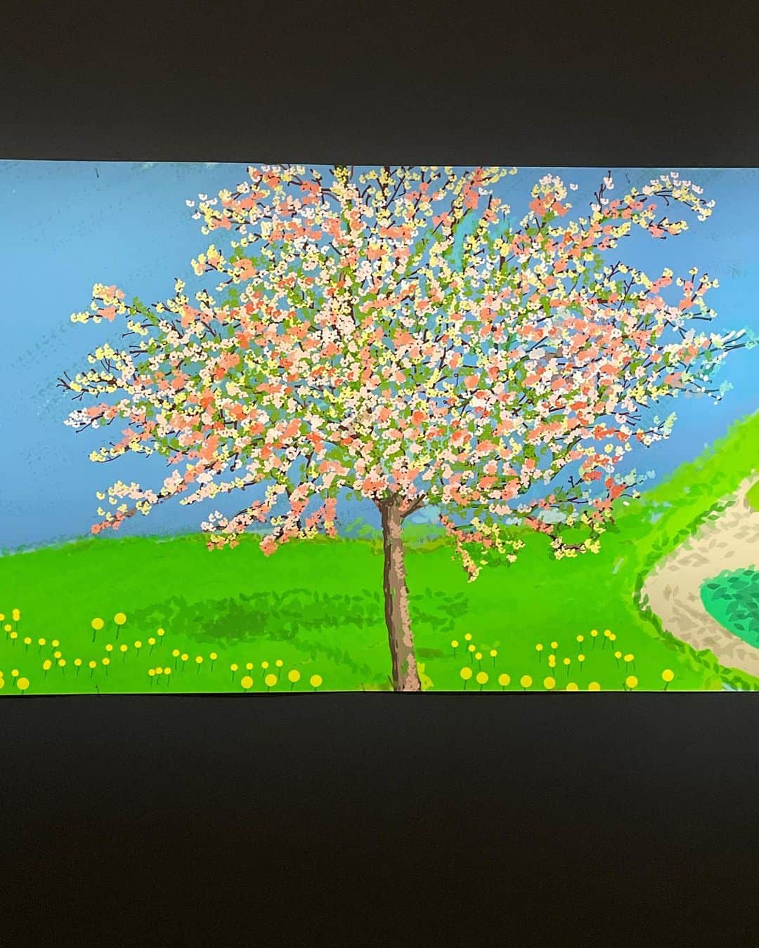 AMOさんのインスタグラム写真 - (AMOInstagram)「作品に込められるポジティブなメッセージと ハッピーな色彩に癒され、 固定概念にとらわれず新たな手法や表現を取り入れてチャレンジし続ける自由さと、好奇心の豊かさに刺激をもらう。 すばらしい展示だった 🍃  わたしもホックニーのように 日常にある景色を、こんなふうに鮮やかに 愛情あふれる視点でみつめていたい 🌷🌧️  #デイヴィッドホックニー展 #davidhockney」9月23日 23時02分 - amo_whale
